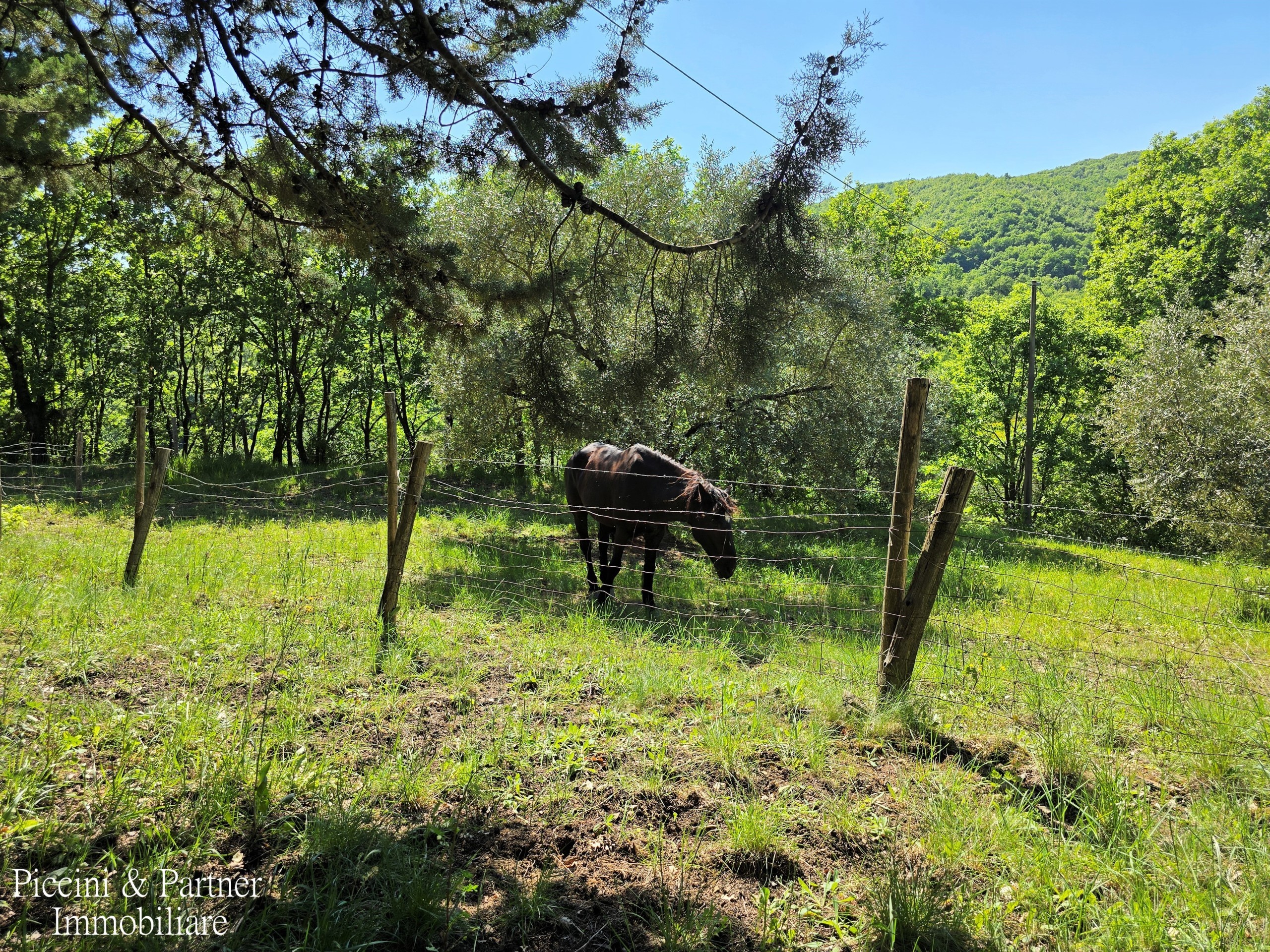 Immagine 4 di Rustico / casale in vendita  in Migianella a Umbertide