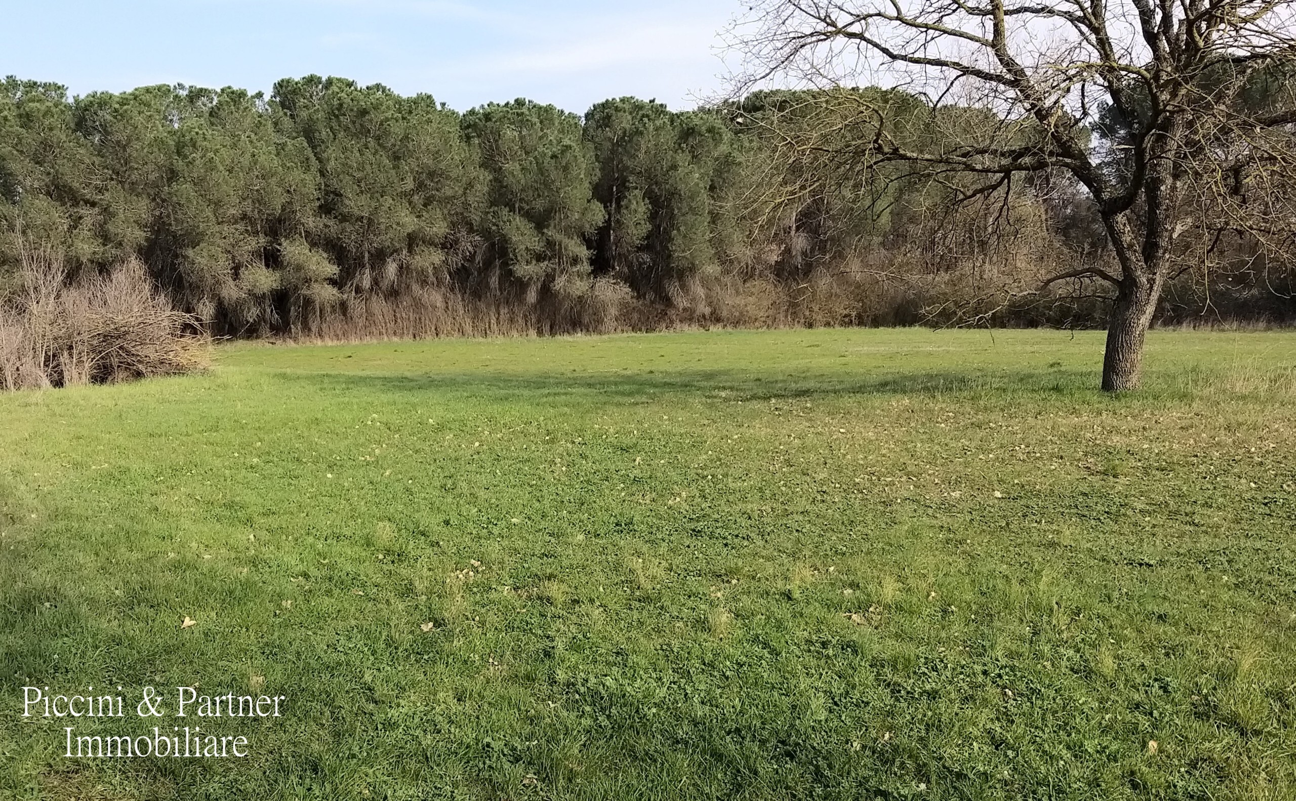 Immagine 12 di Rustico / casale in vendita  in Località Bertoni a Castiglione Del Lago