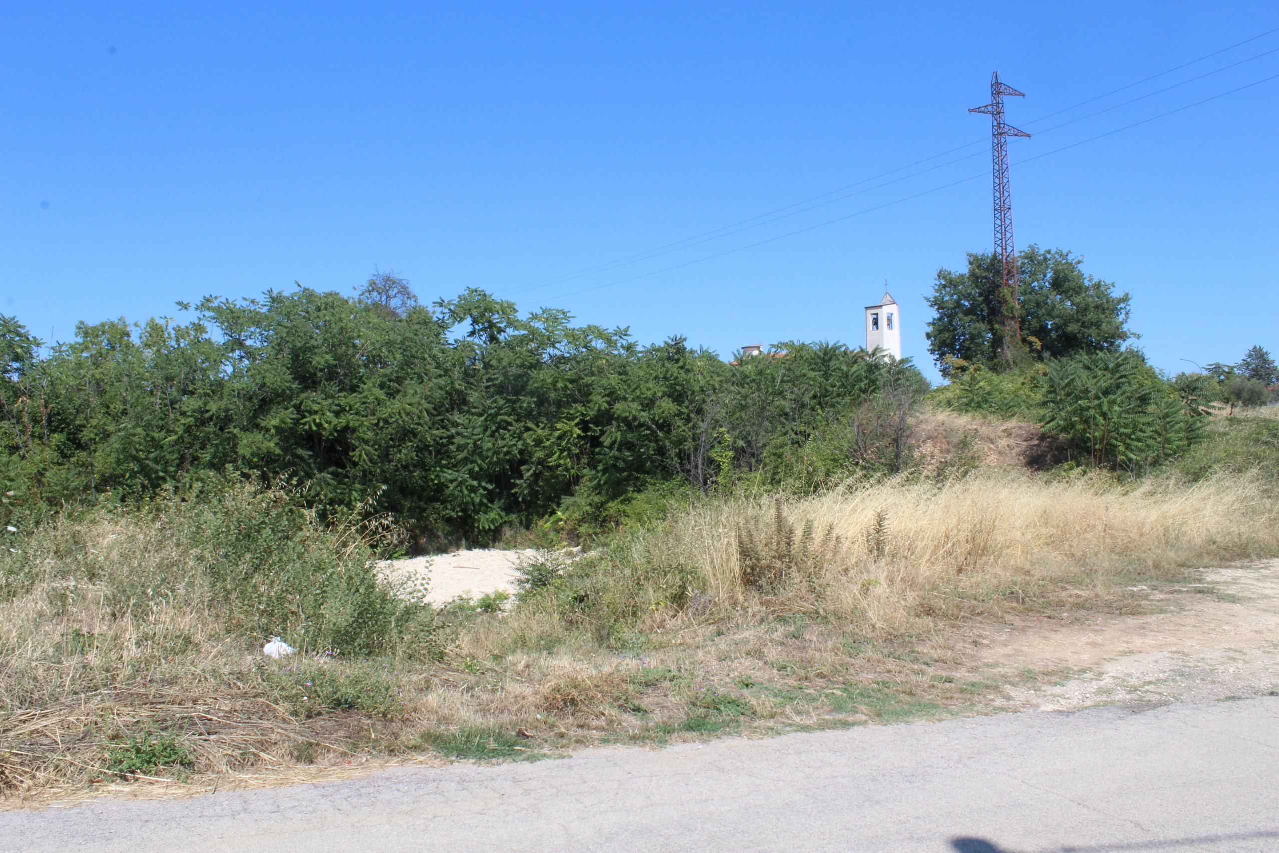 Foto annuncio 6