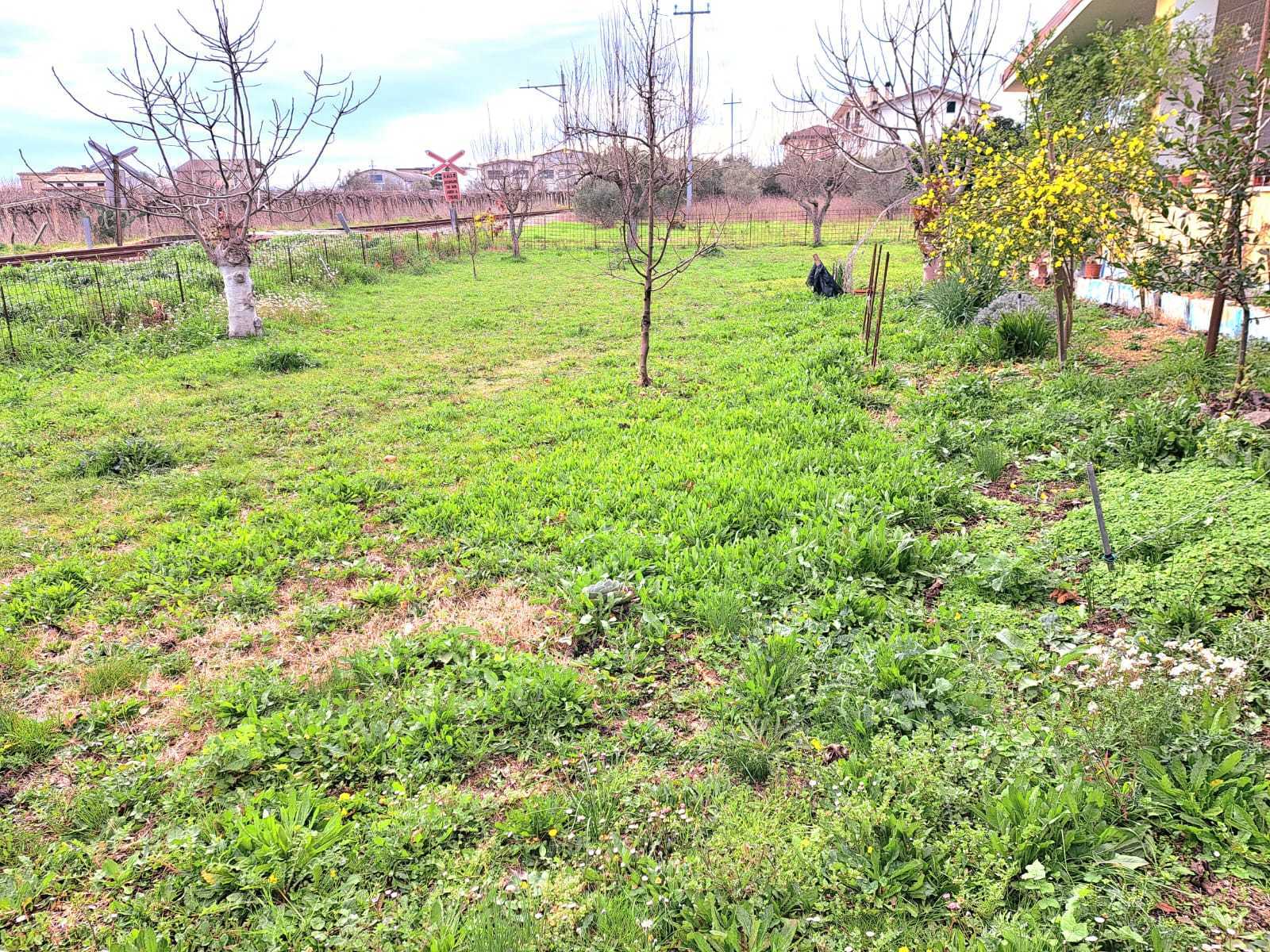 Foto annuncio 35