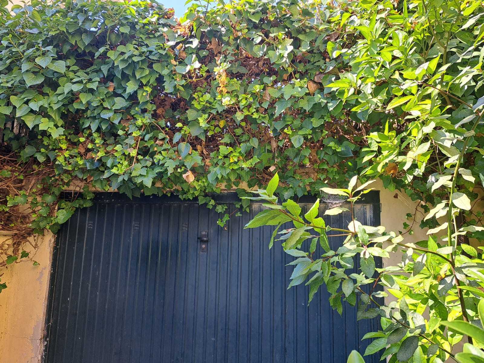Foto annuncio 26