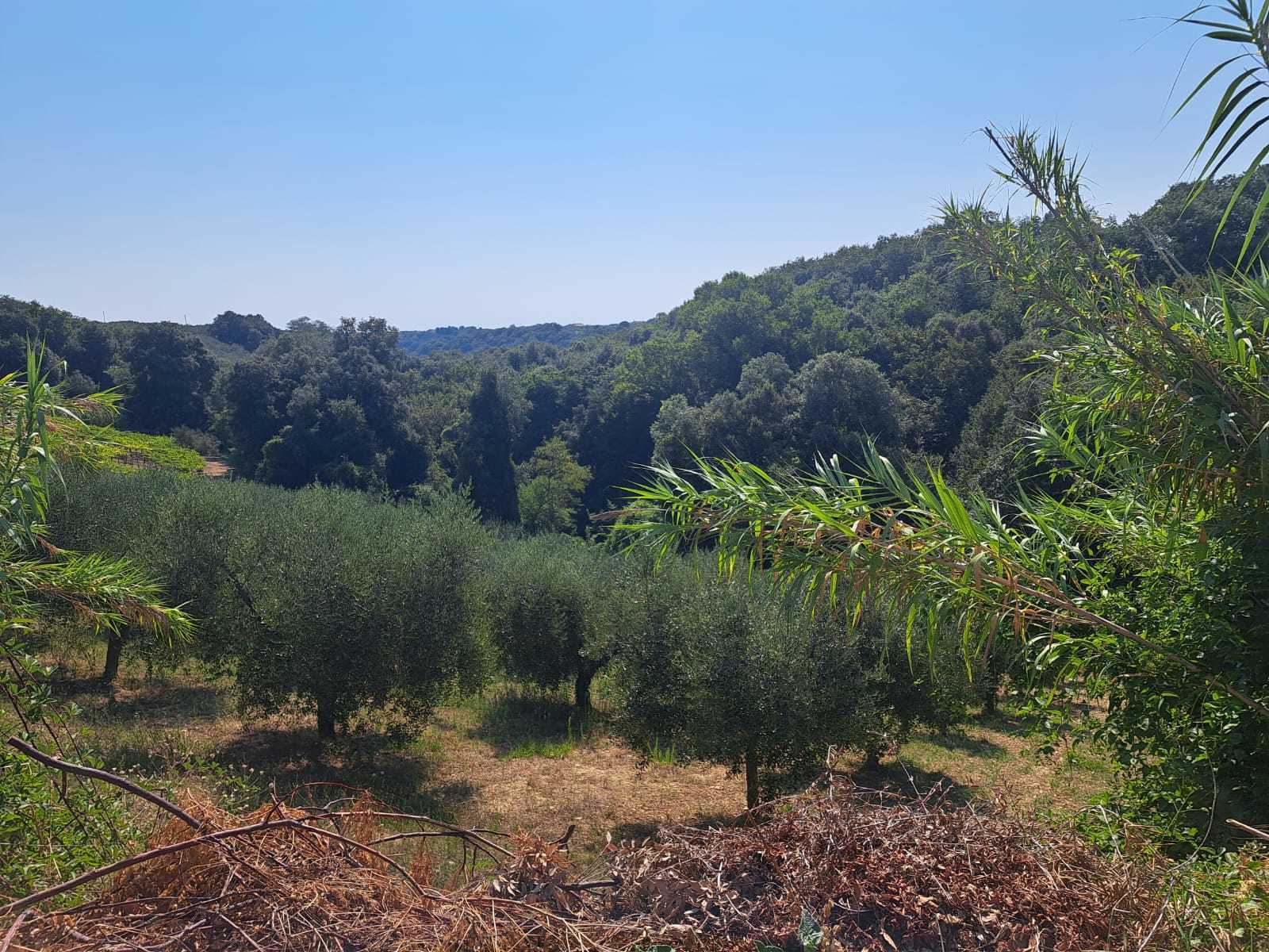 Immagine 21 di Rustico / casale in vendita  in Contrada Acquarelli 2 a Rocca San Giovanni