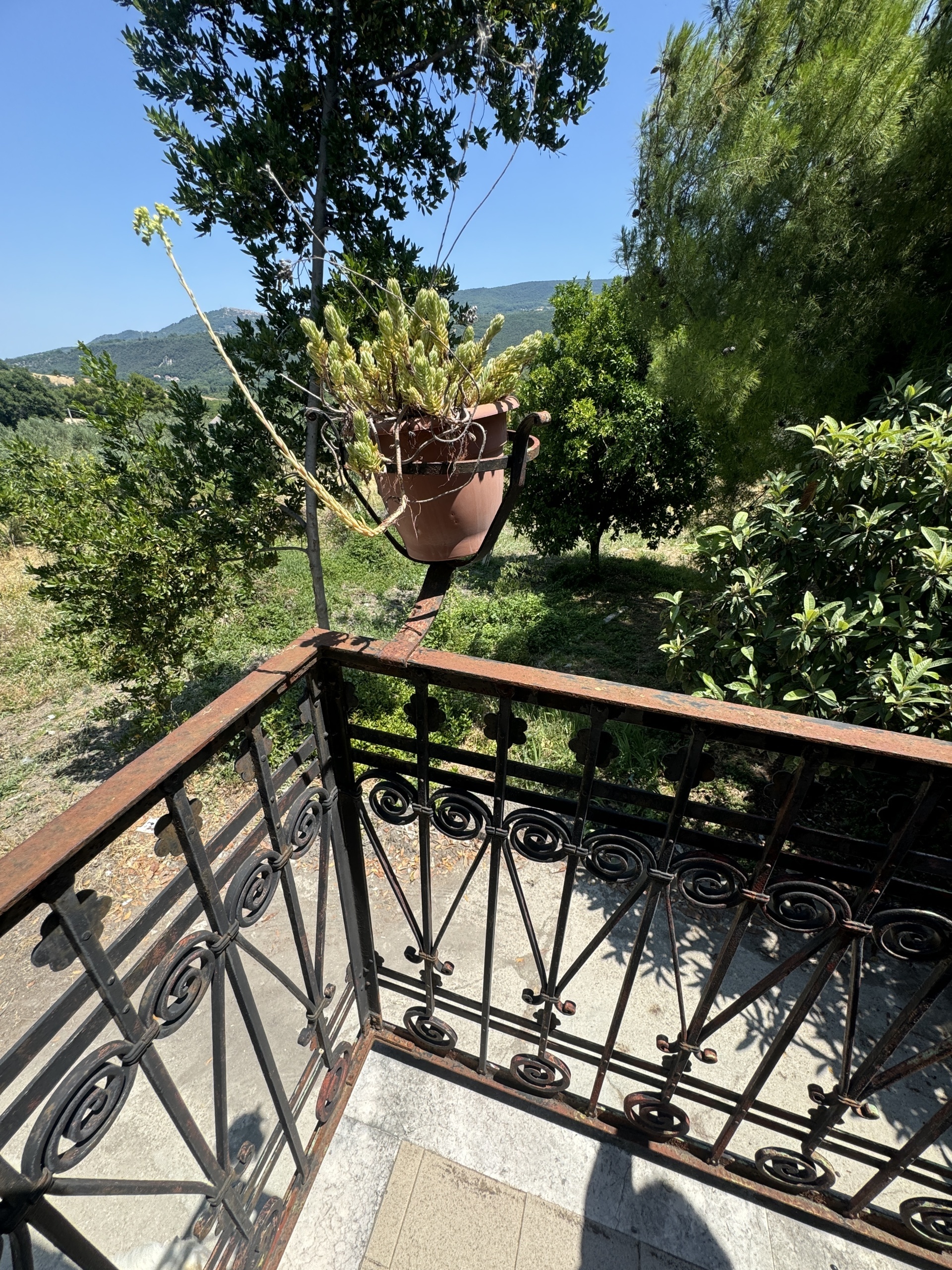 Immagine 5 di Casa semindipendente in vendita  in Roccascalegna a Roccascalegna