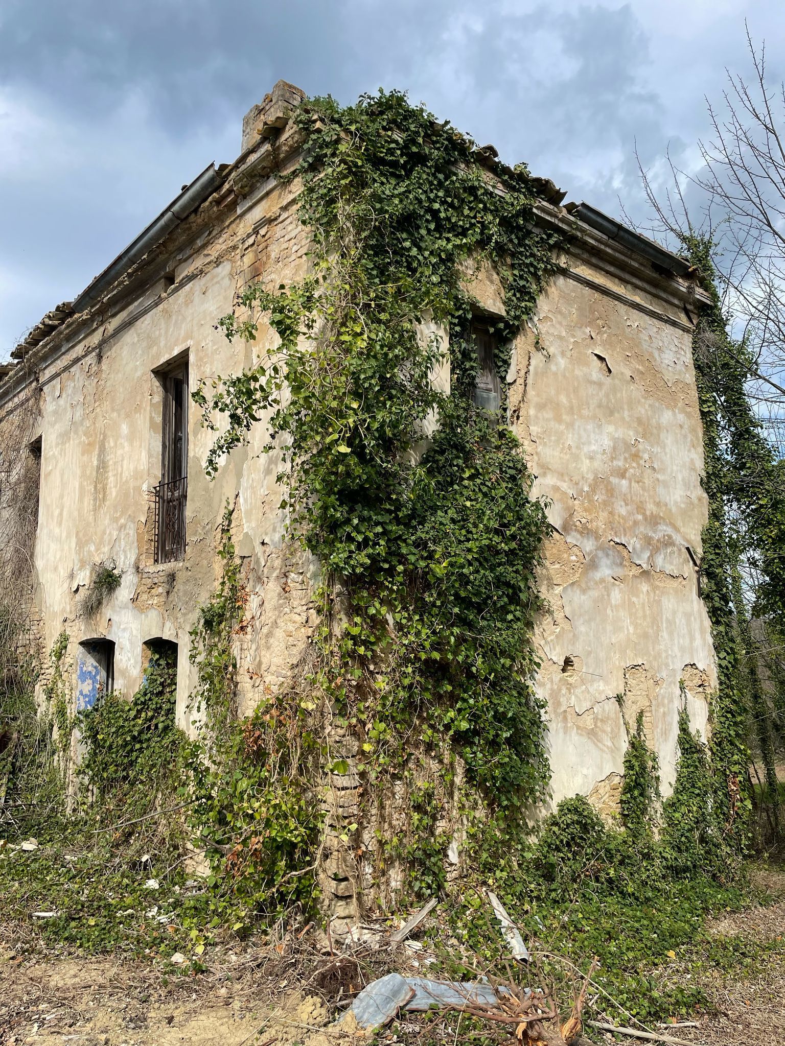 Foto annuncio 40