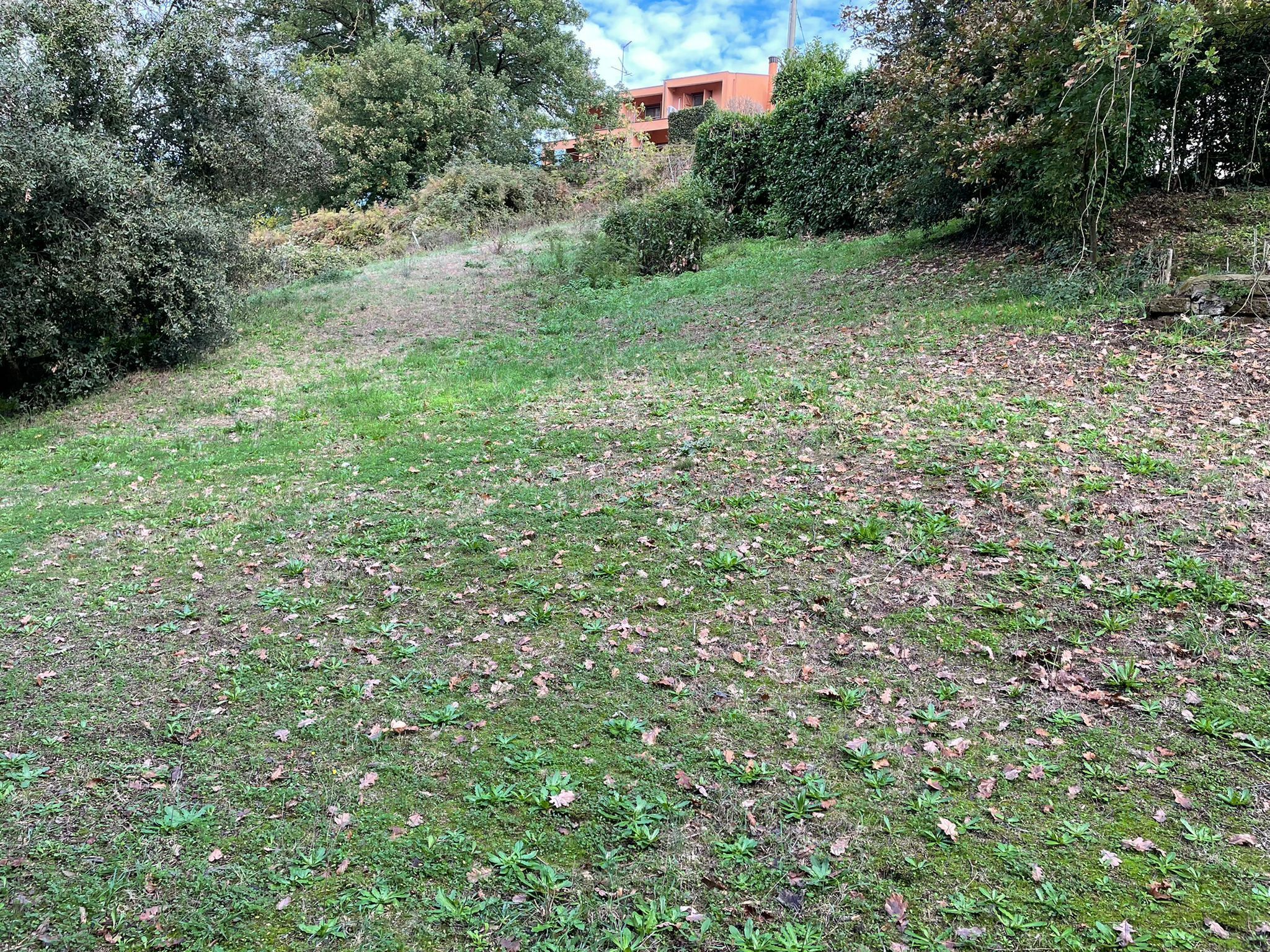Foto annuncio 13