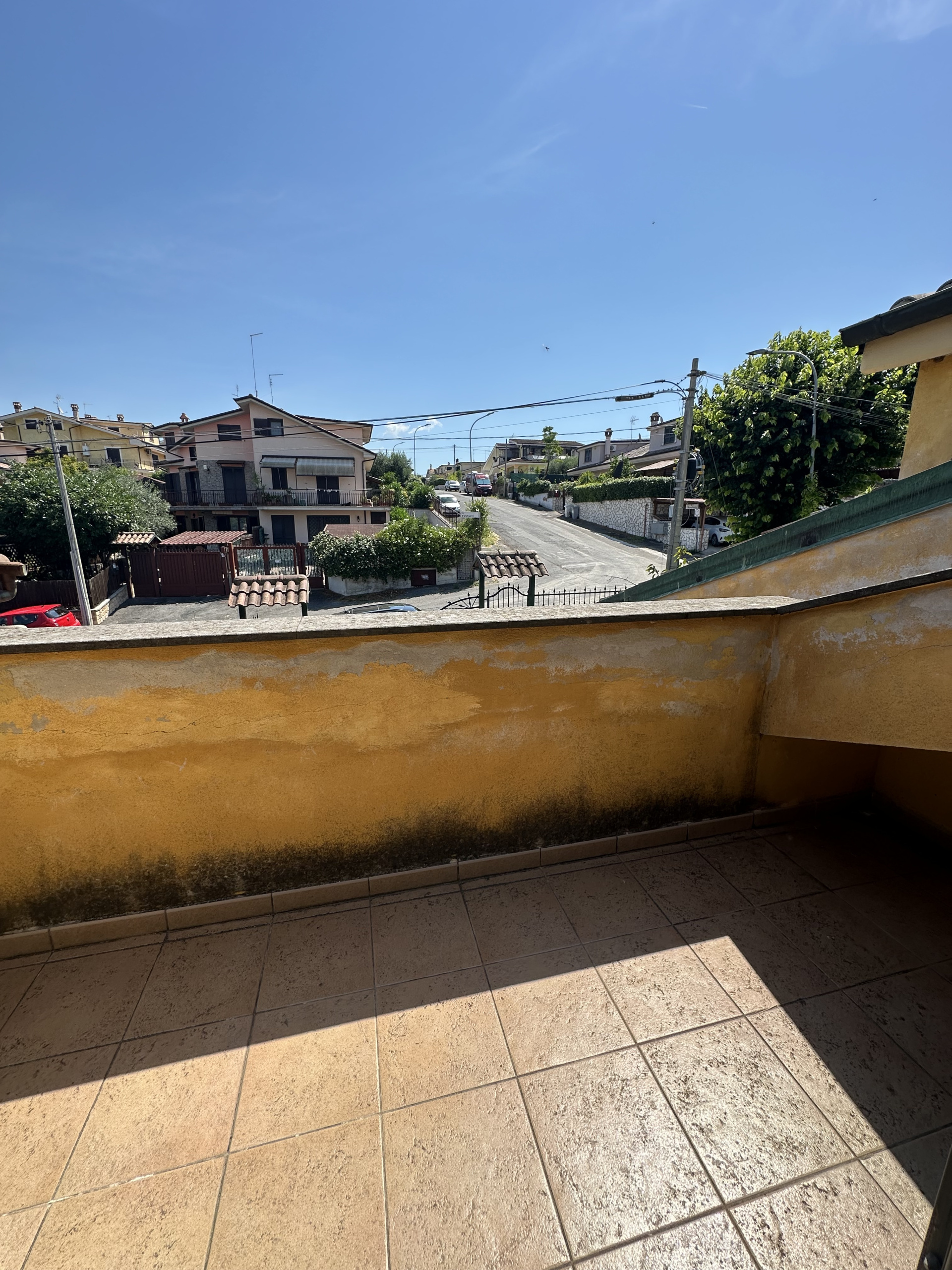 Foto annuncio 29