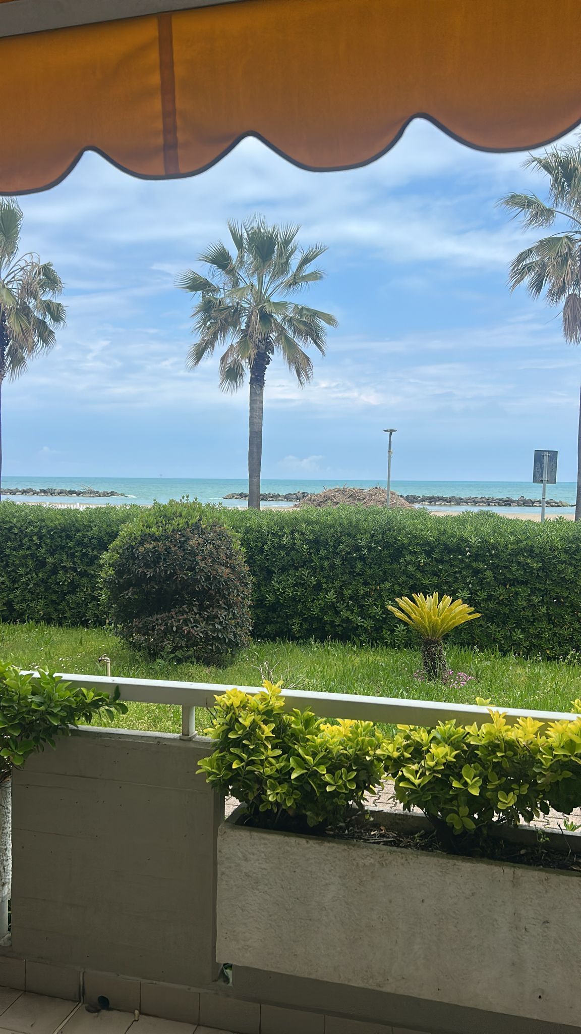 Foto annuncio 1