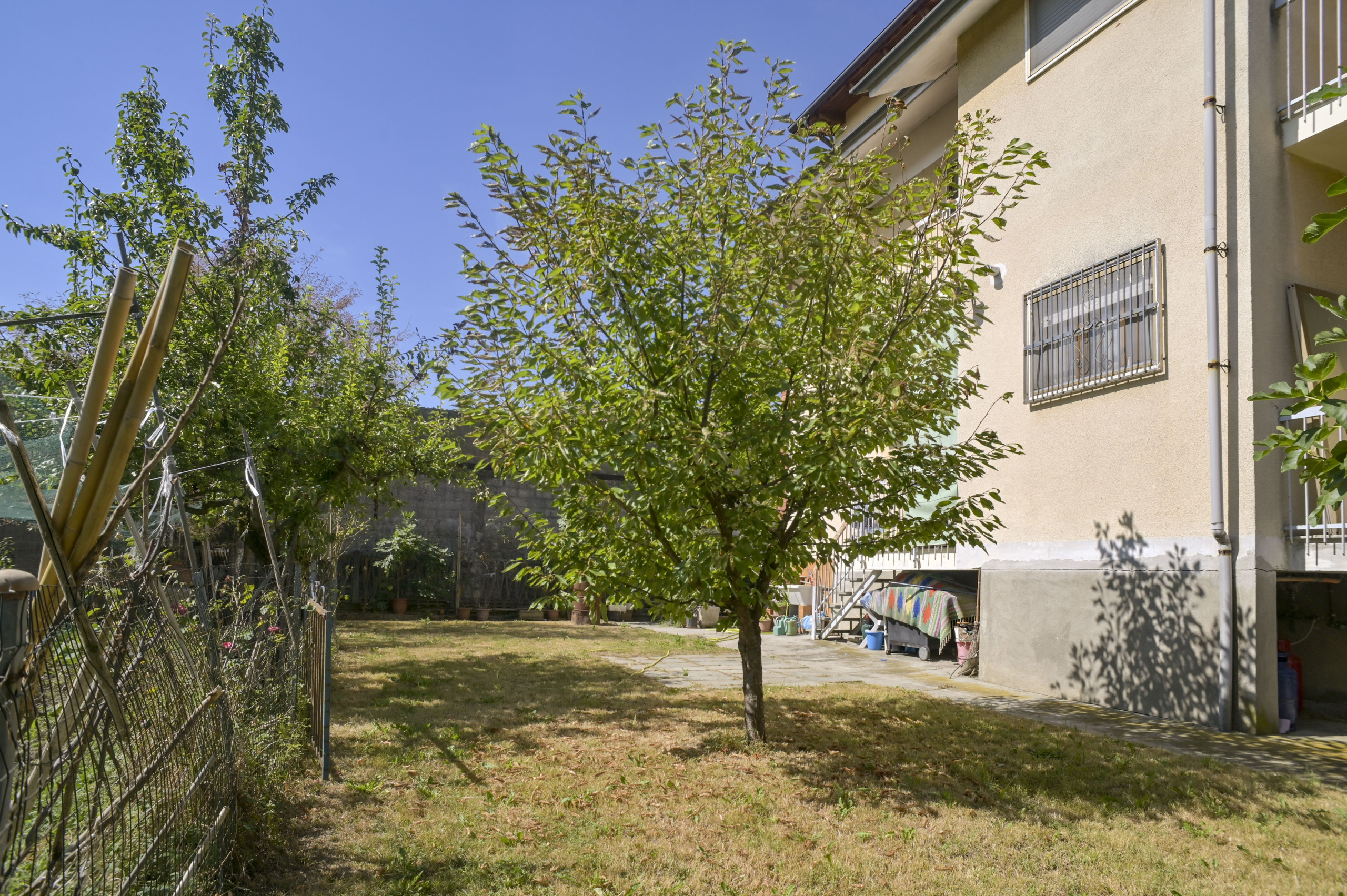 Foto annuncio 120