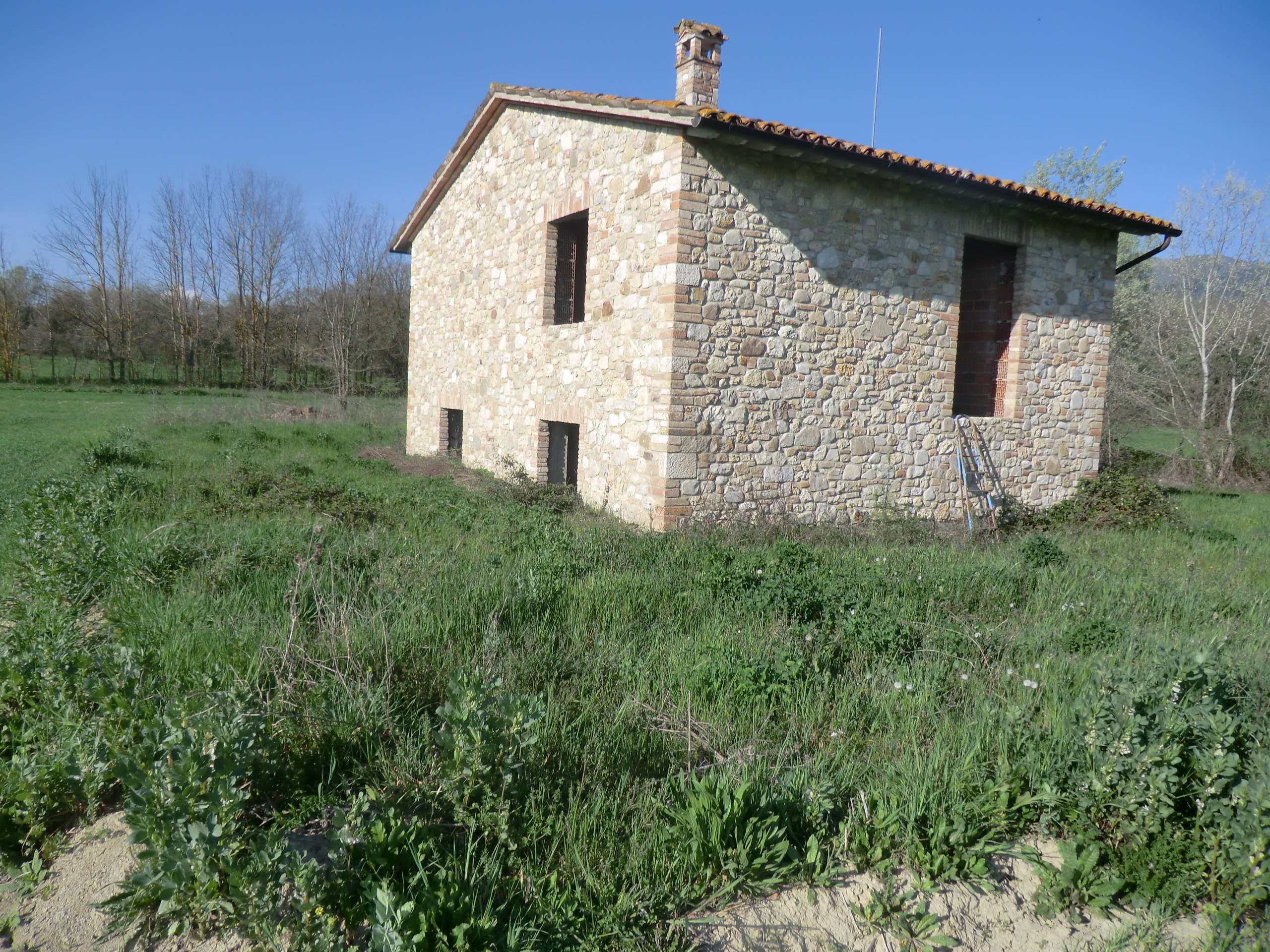 Foto annuncio 5