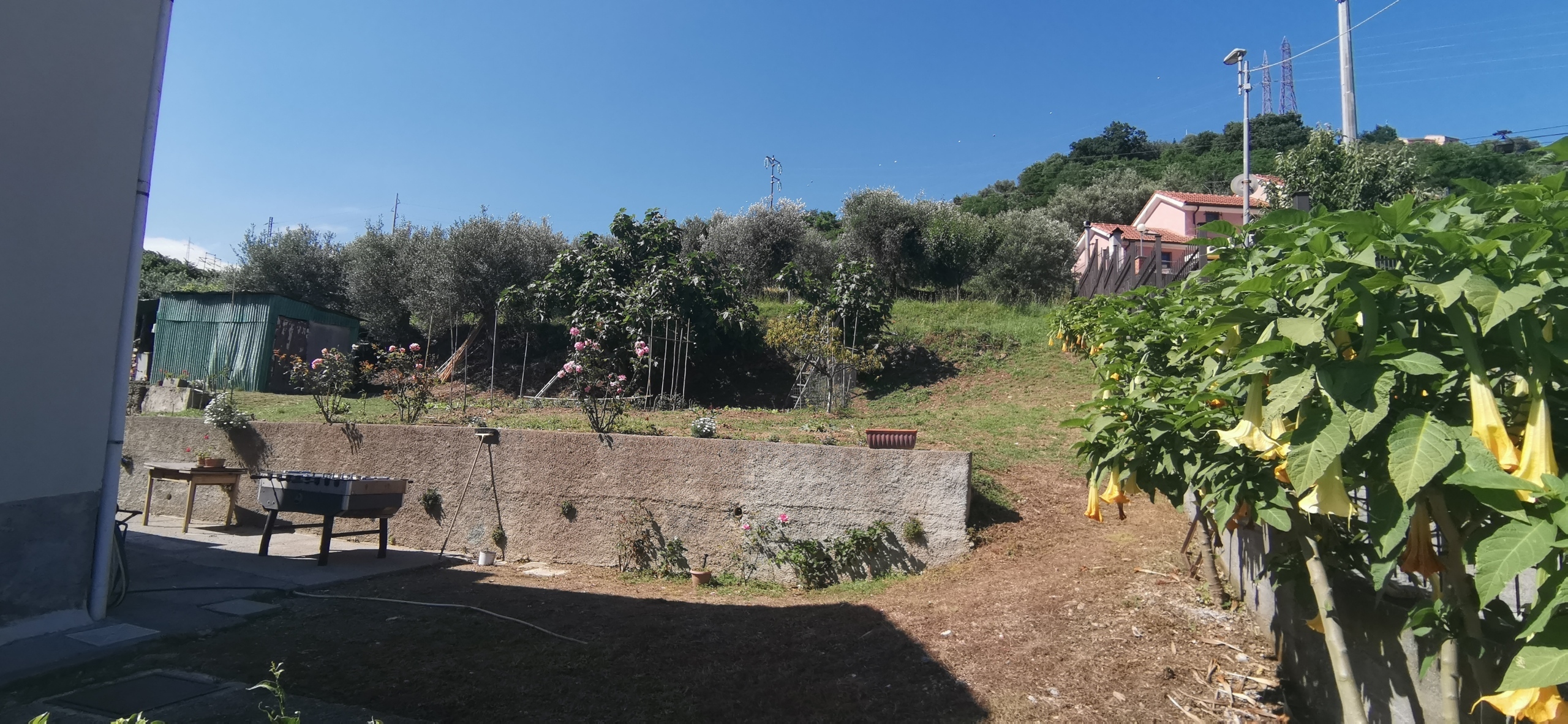Foto annuncio 12