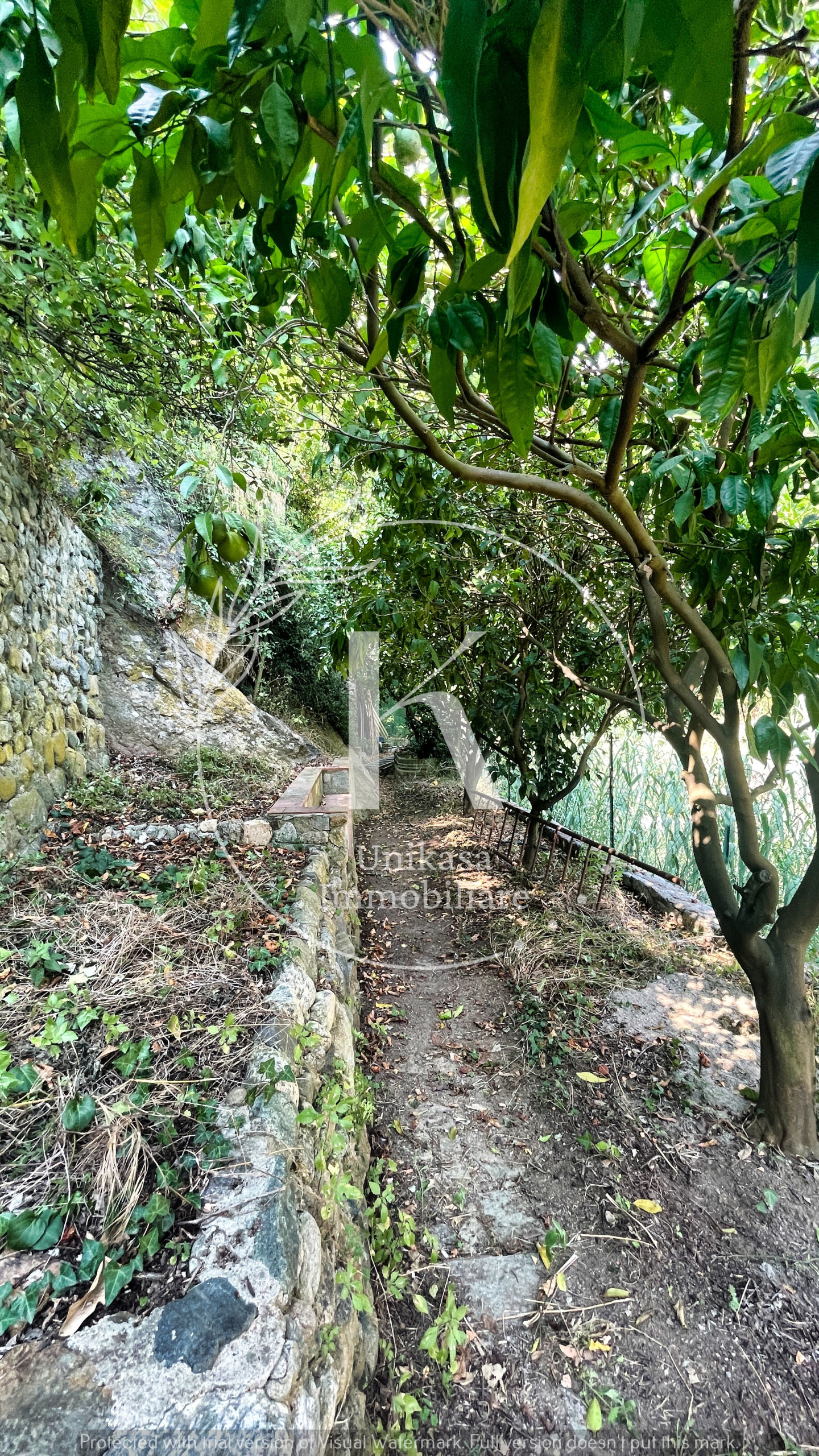Foto annuncio 33
