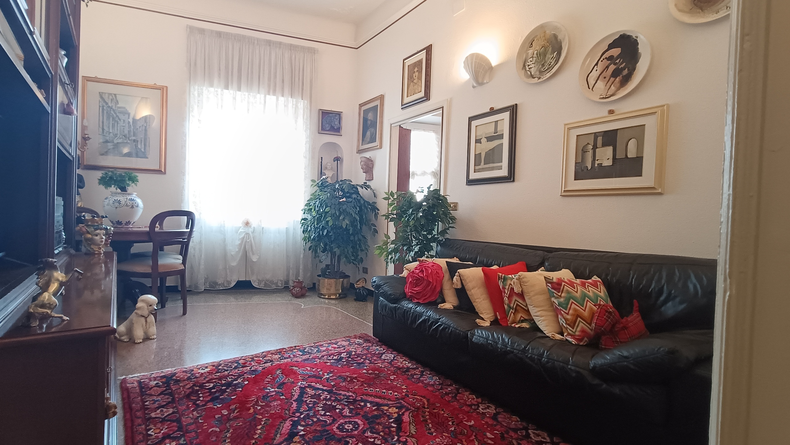 Foto annuncio 9