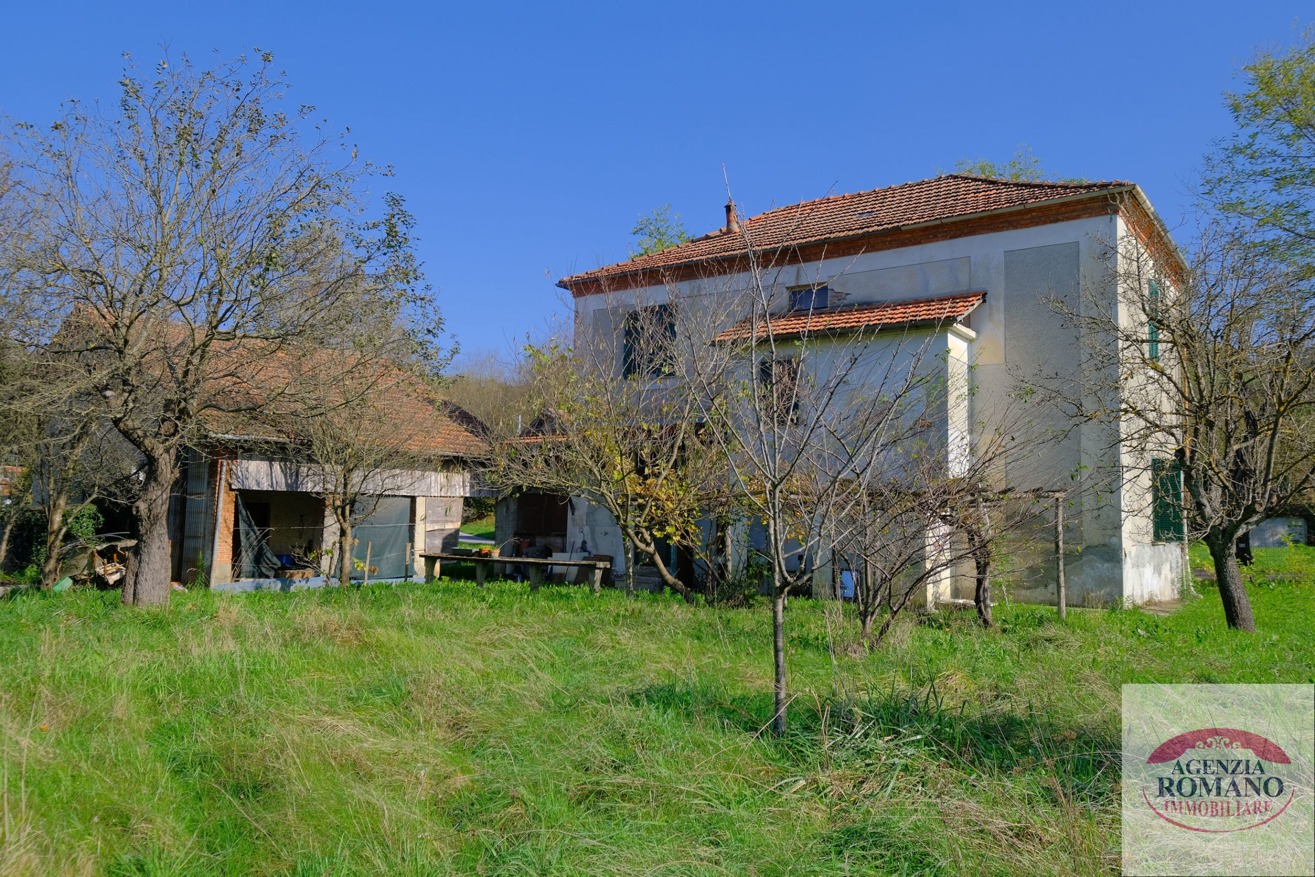 Foto annuncio 6