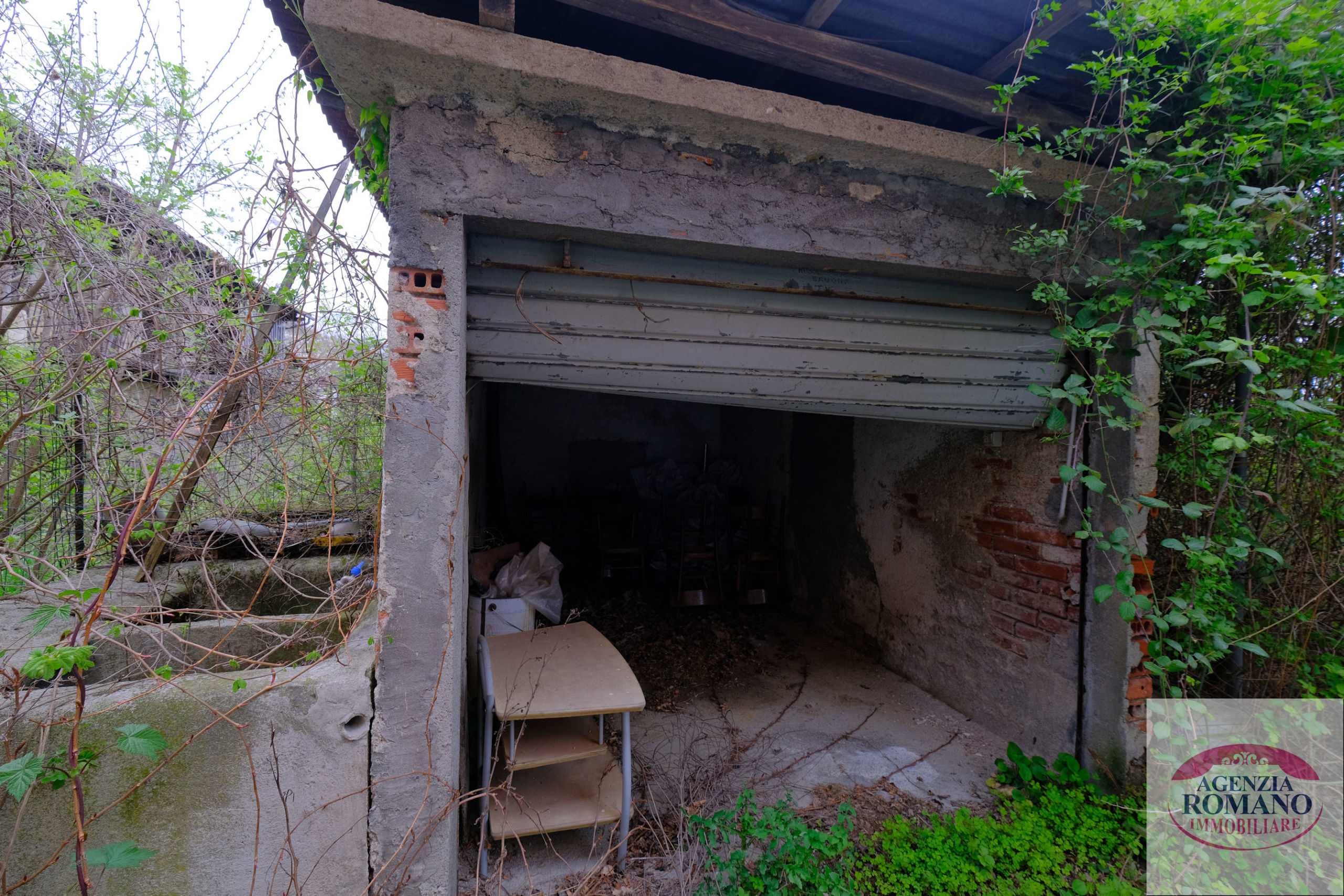 Foto annuncio 6
