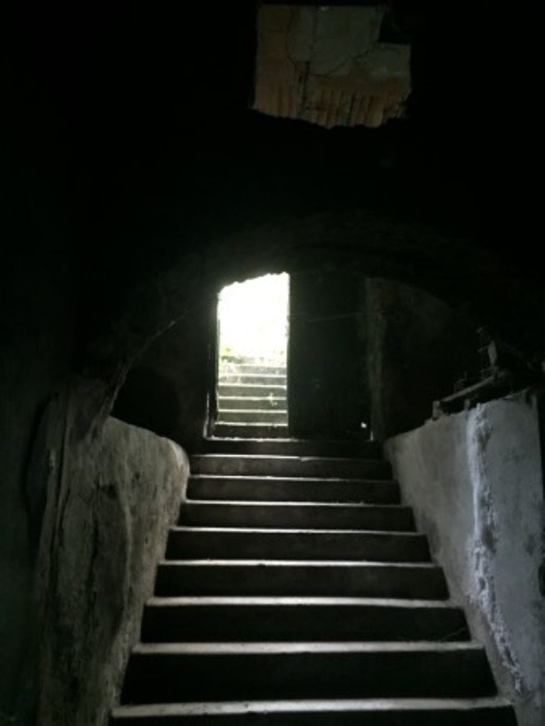 Foto annuncio 39