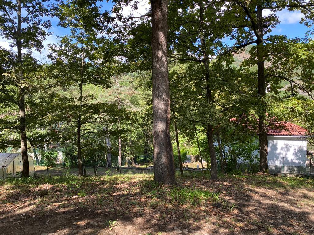 Immagine 10 di Villa in vendita  in località Vallacia 12 a Pareto