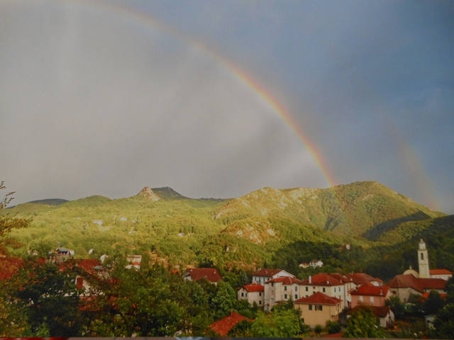 Foto annuncio 37