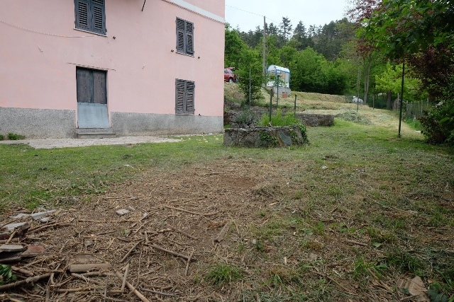 Foto annuncio 13