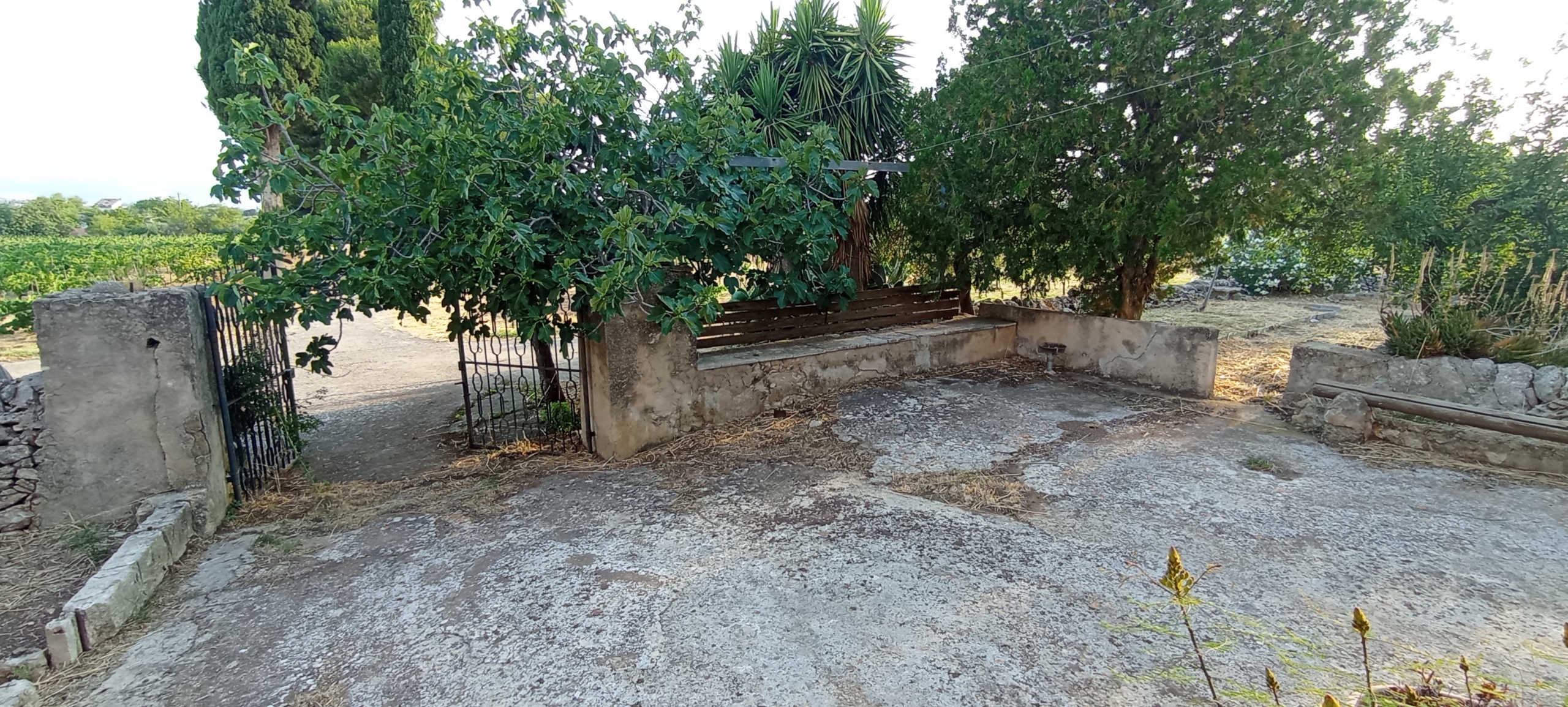 Foto annuncio 37