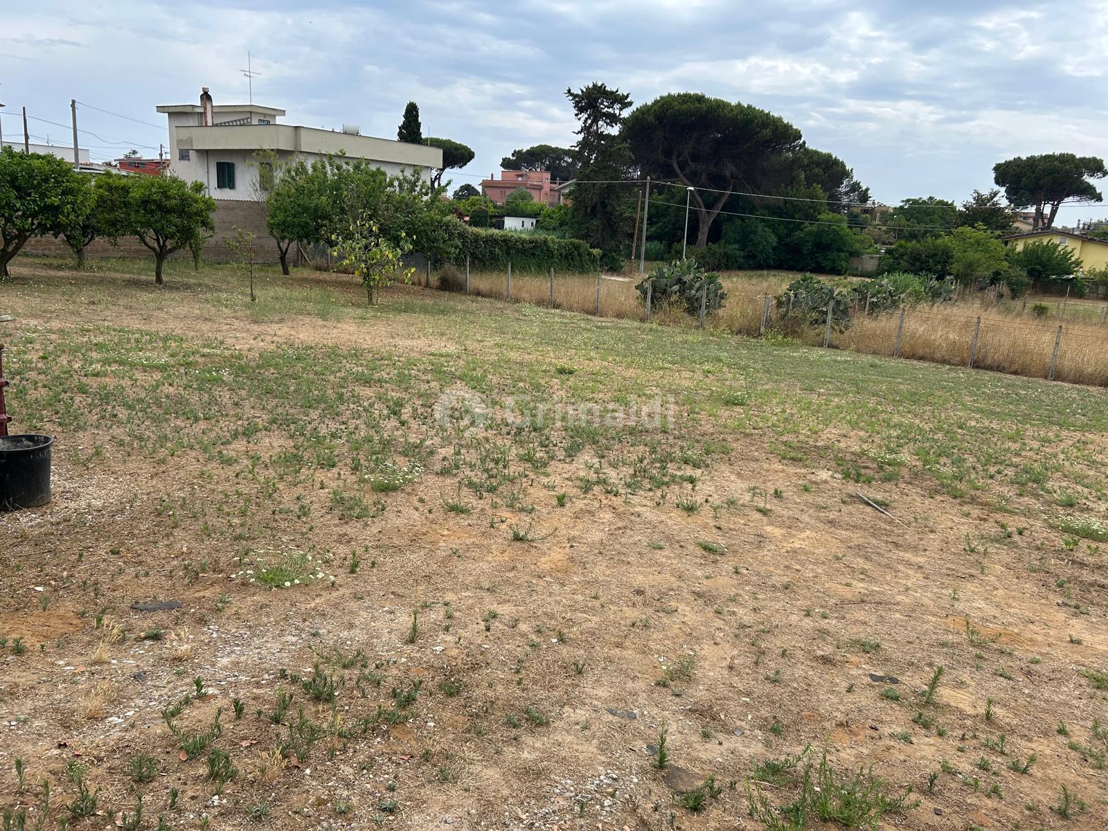 Immagine 4 di Terreno edificabile in vendita  in Via Sutri 4 a Nettuno