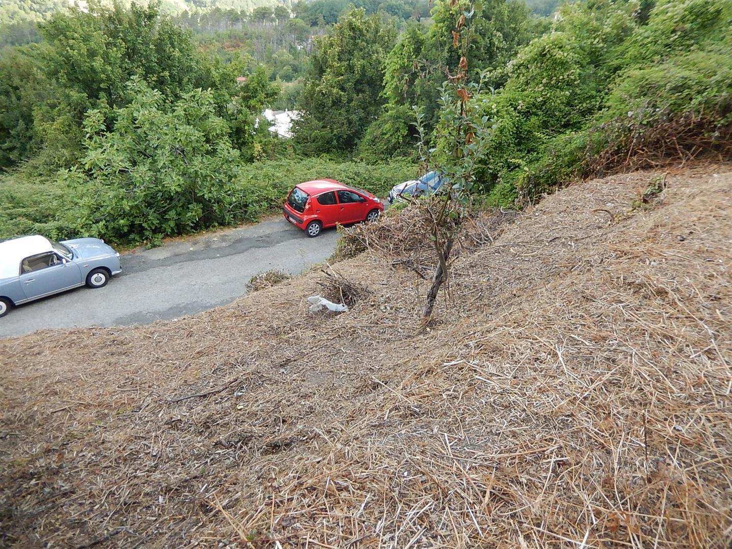 Immagine 10 di Rustico / casale in vendita  in Via alla Chiesa 96 a Castiglione Chiavarese
