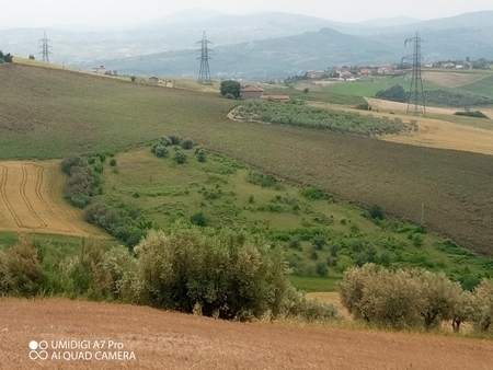 Foto annuncio 4