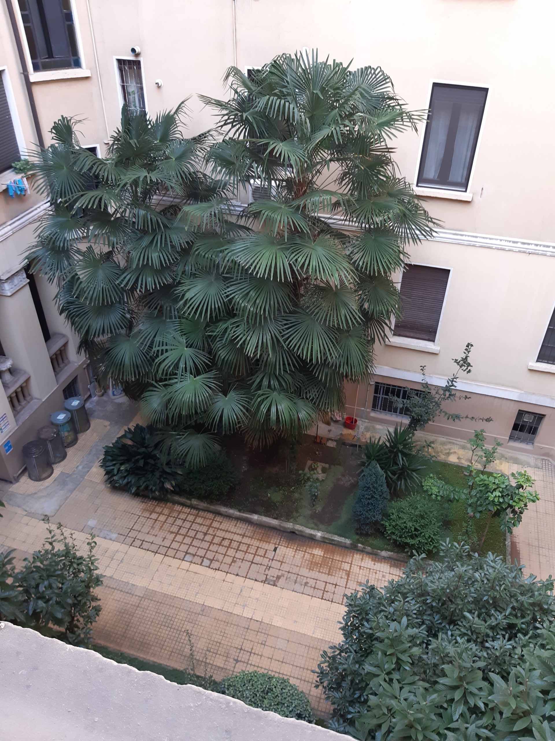 Immagine 30 di Appartamento in affitto  in Via Trebbia 33 a Milano