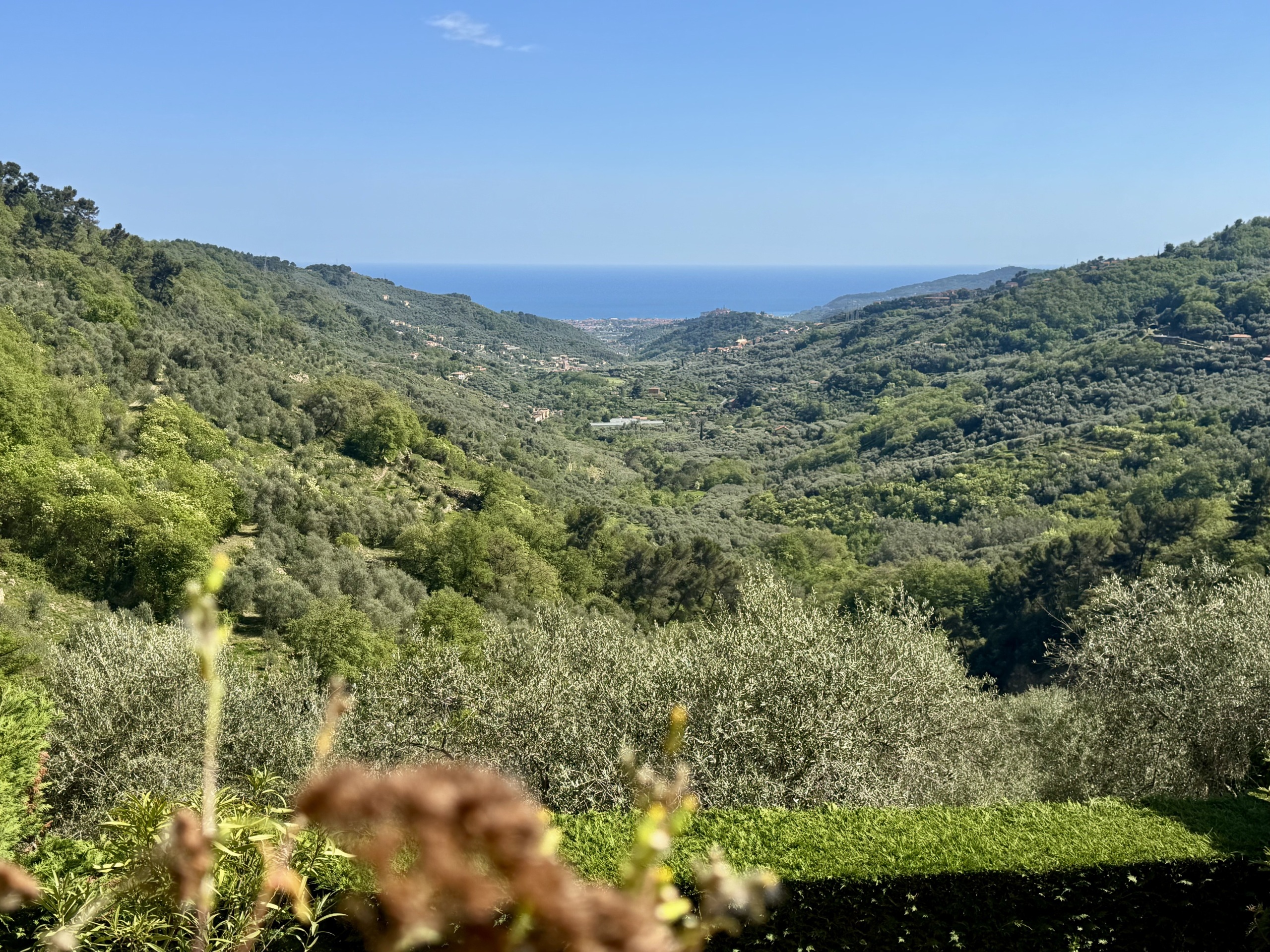 Foto annuncio 1