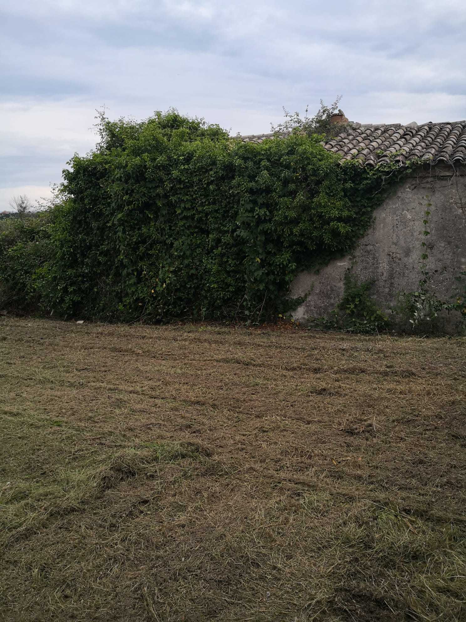 Foto annuncio 13