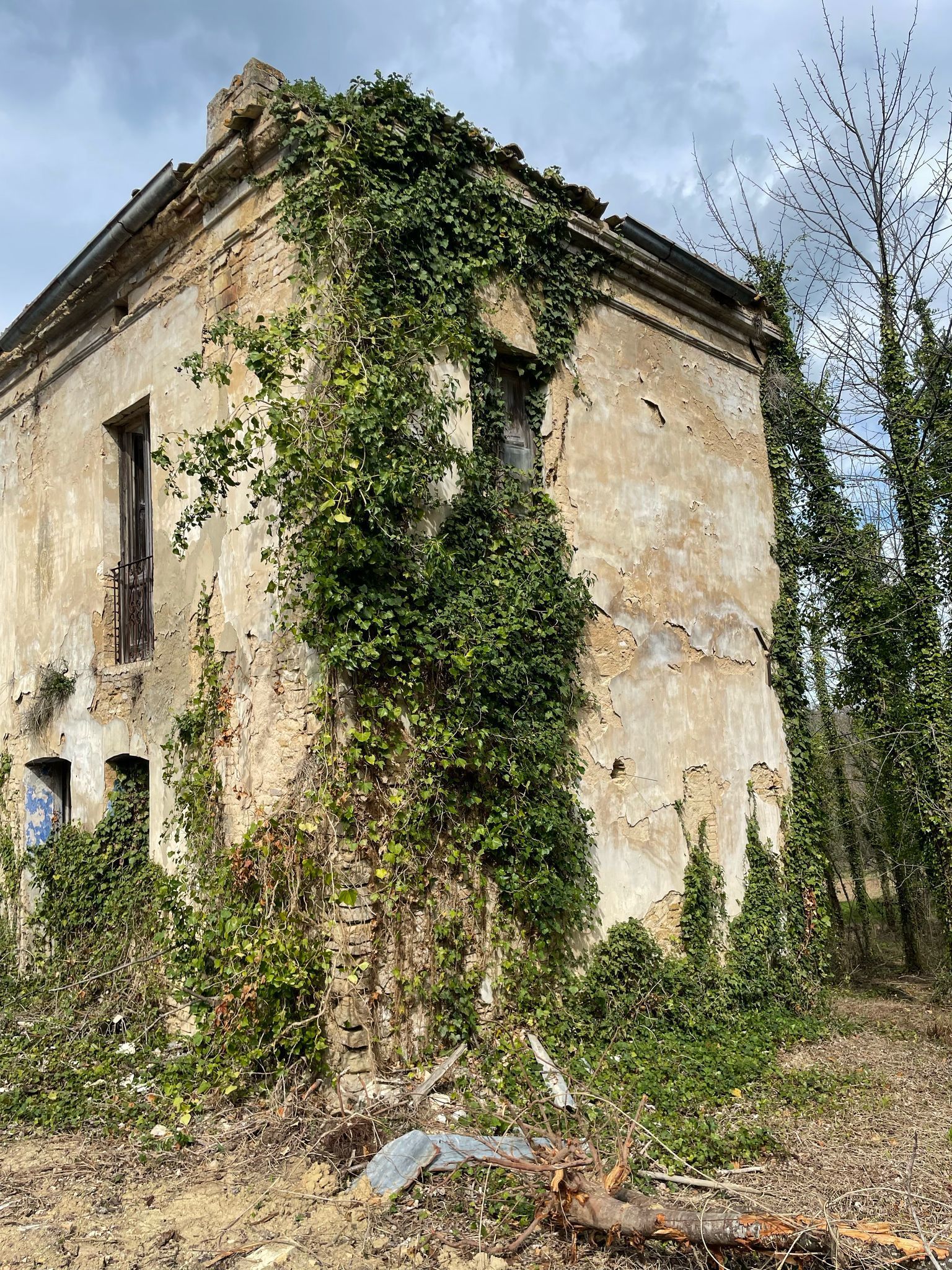 Foto annuncio 43