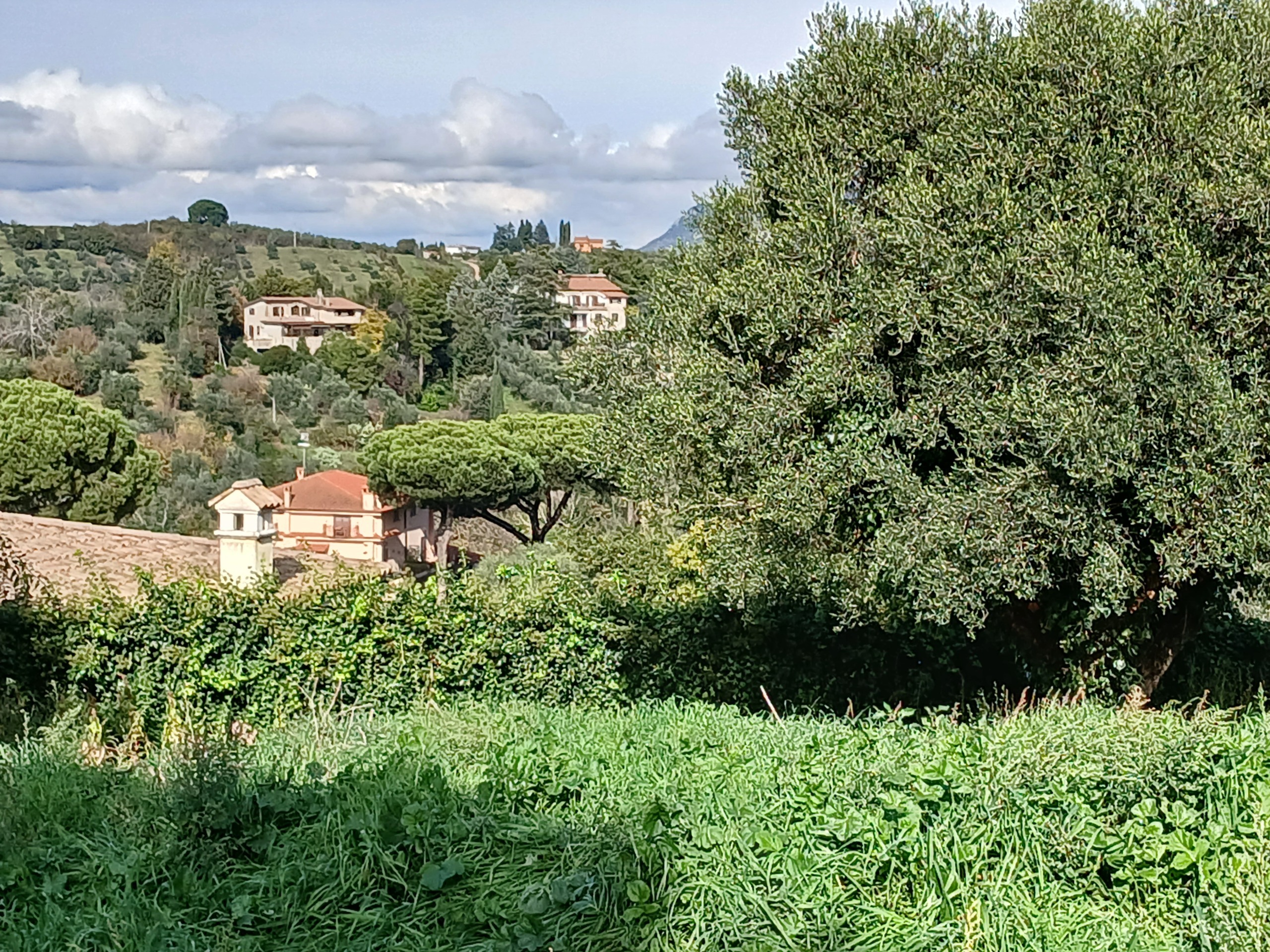 Foto annuncio 9