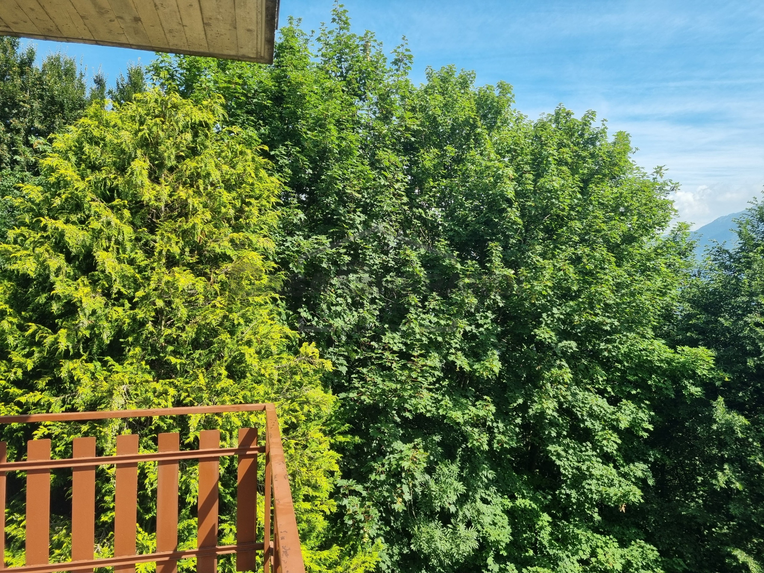 Immagine 5 di Trilocale in vendita  in Via Centro 4 a Zogno