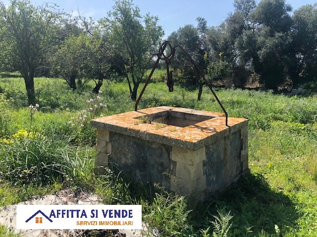 Immagine 25 di Rustico / casale in vendita  in isola a Siracusa