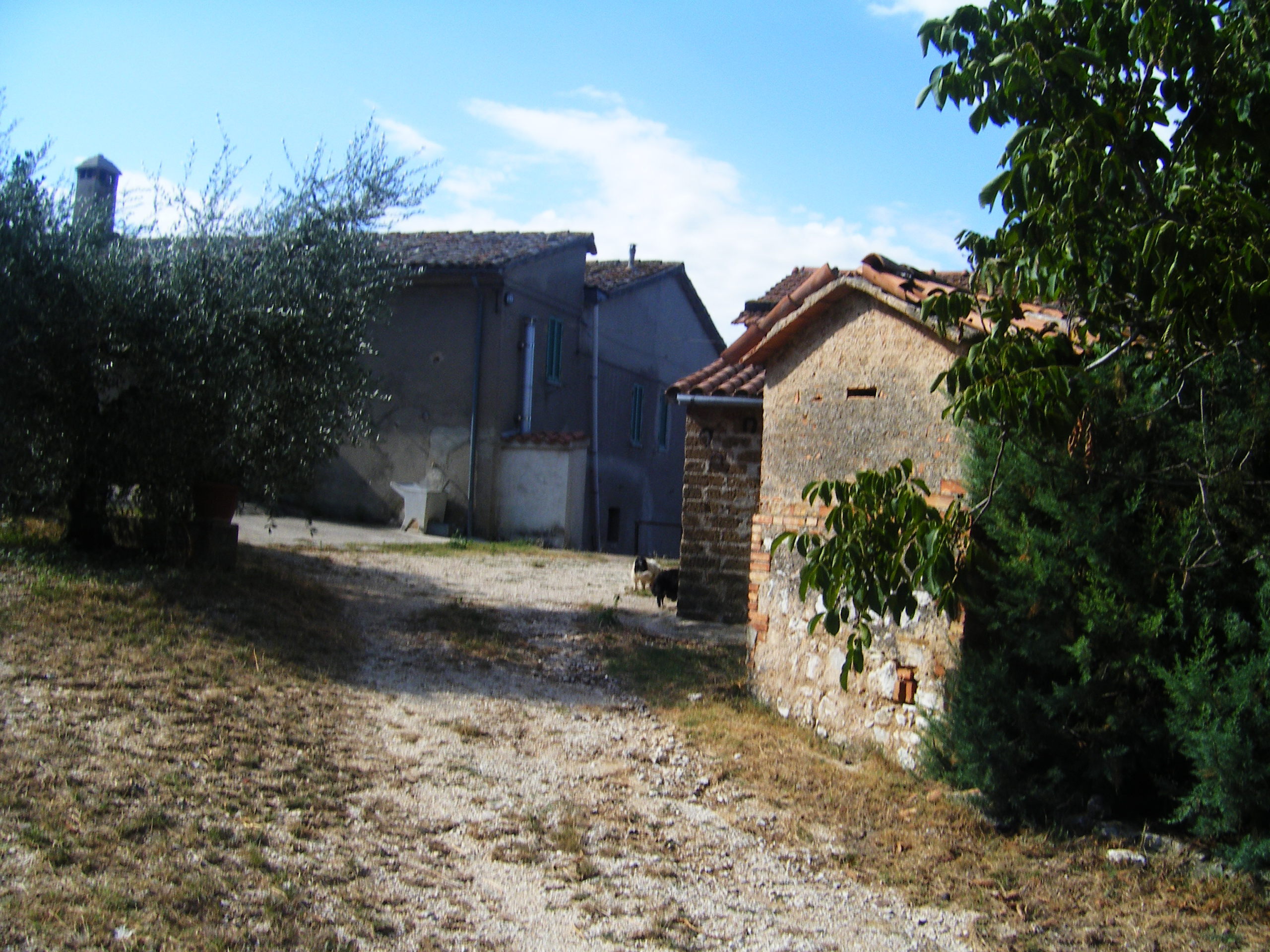 Foto annuncio 2