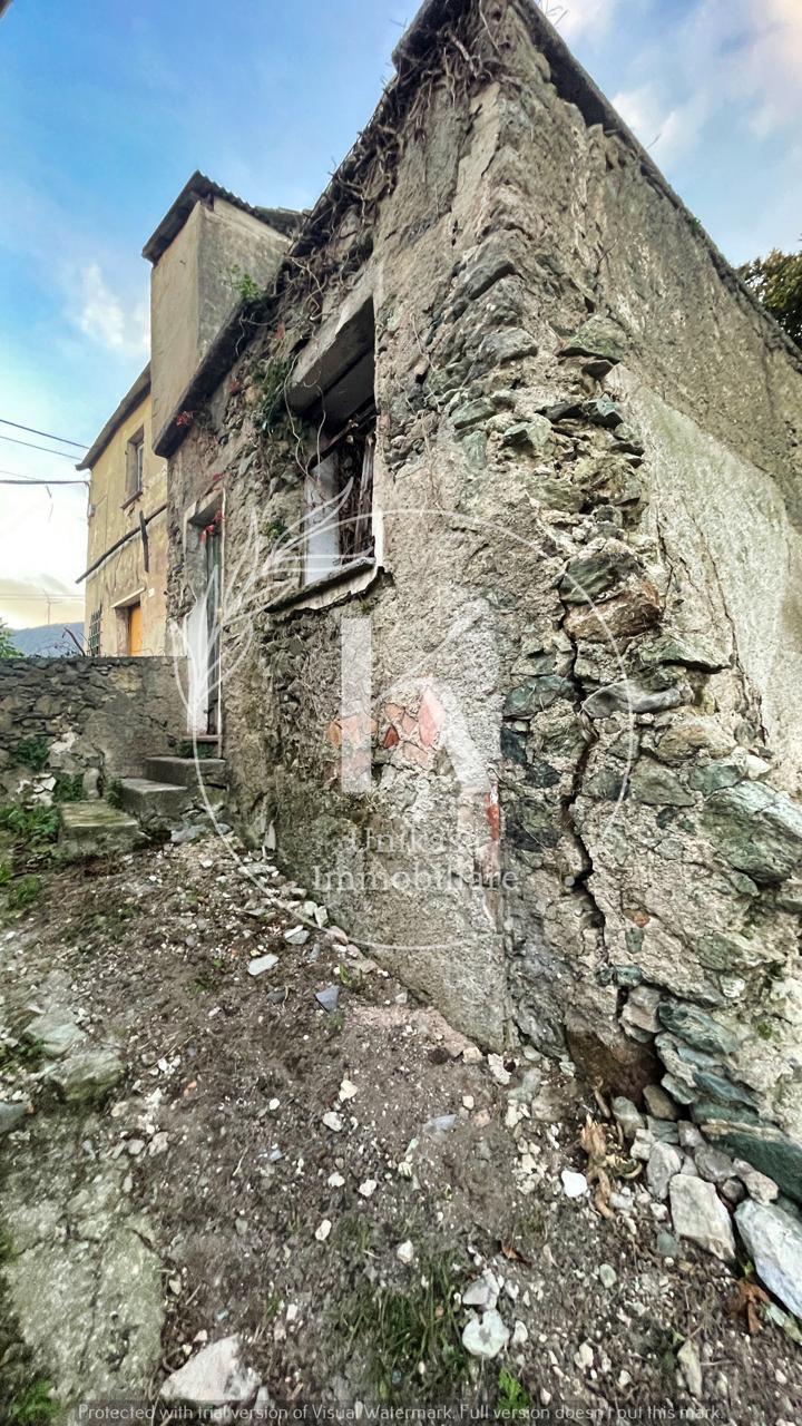 Foto annuncio 19