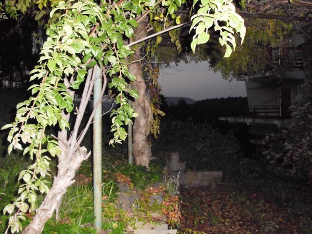 Foto annuncio 11