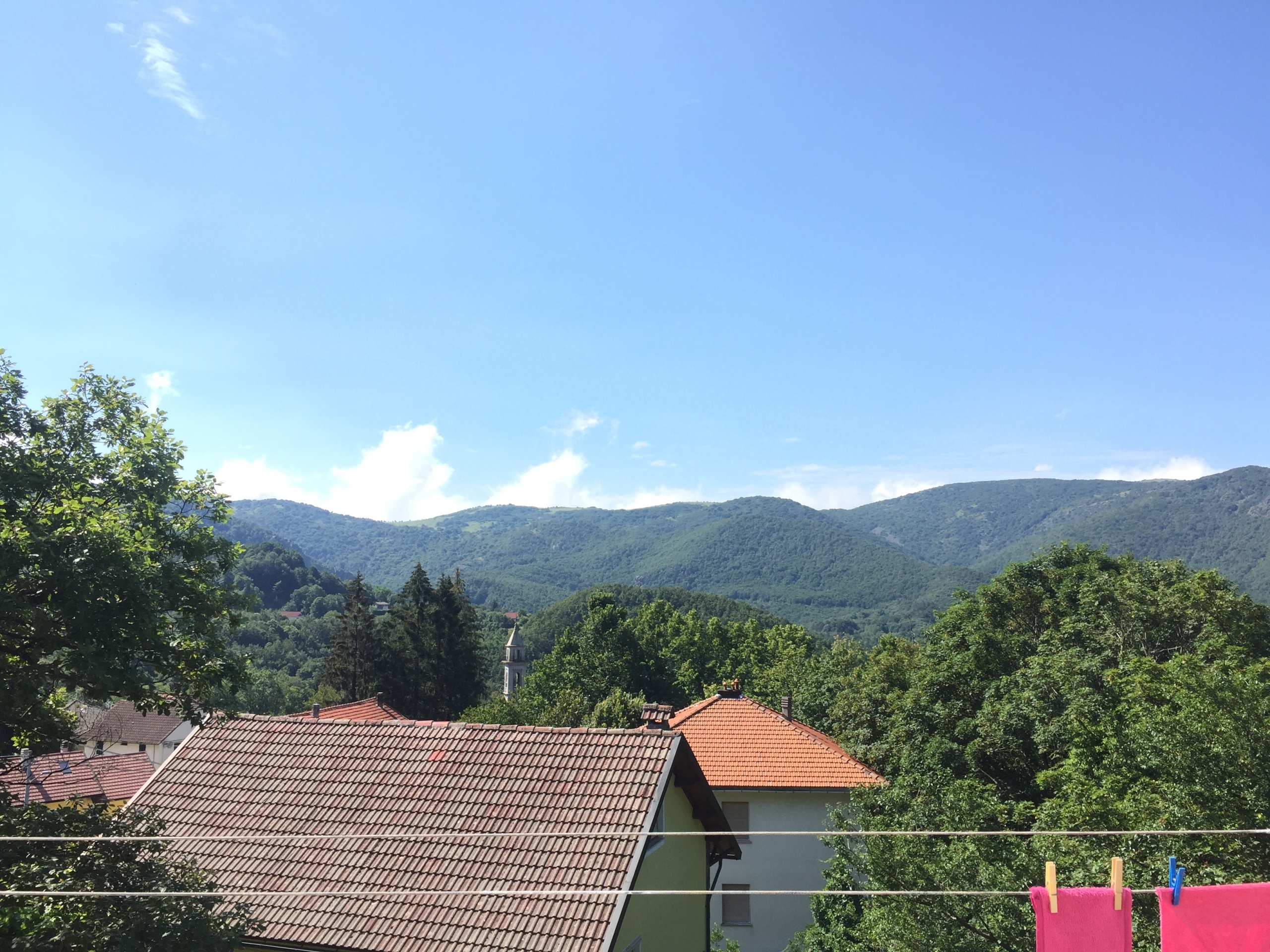 Foto annuncio 10