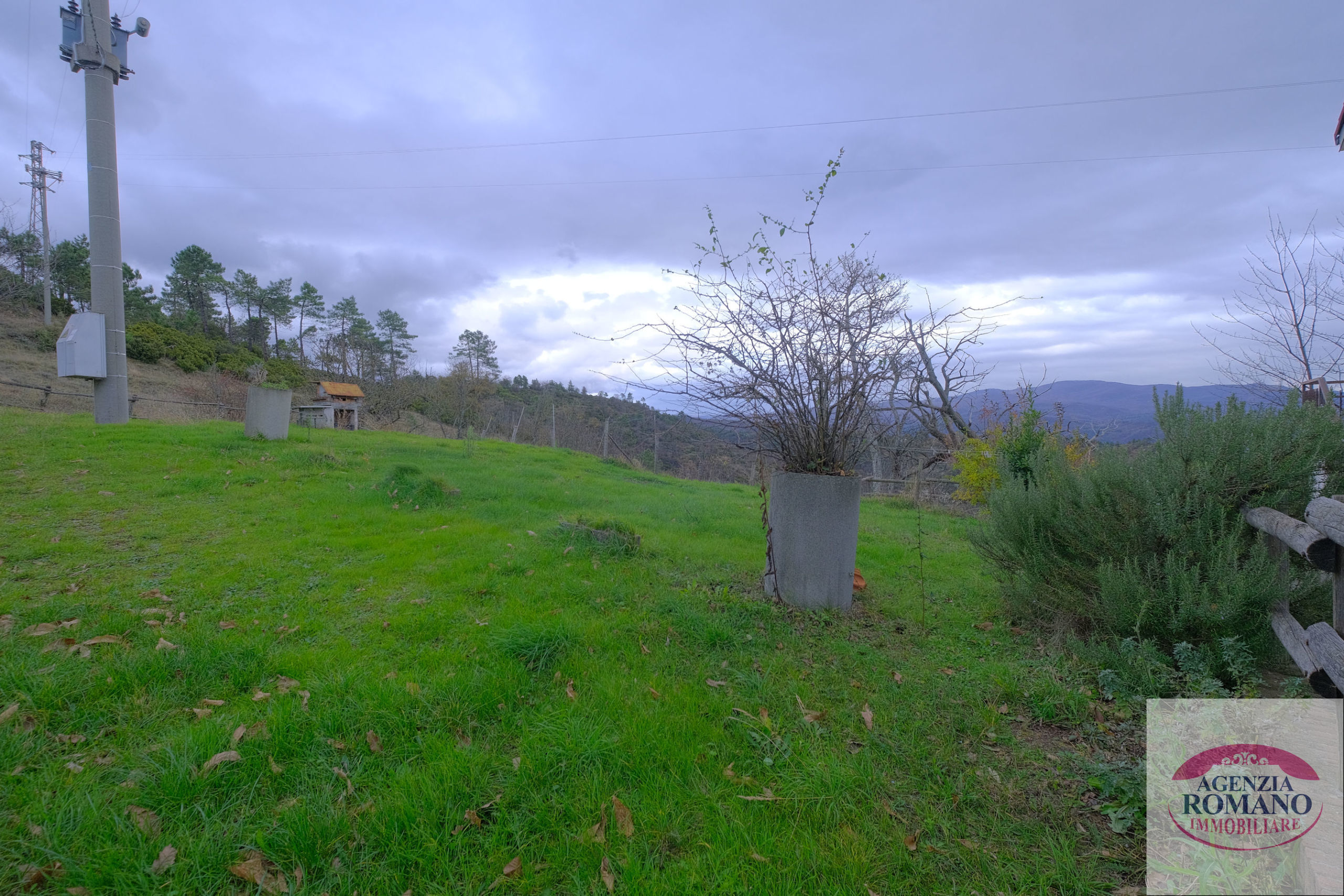Foto annuncio 49