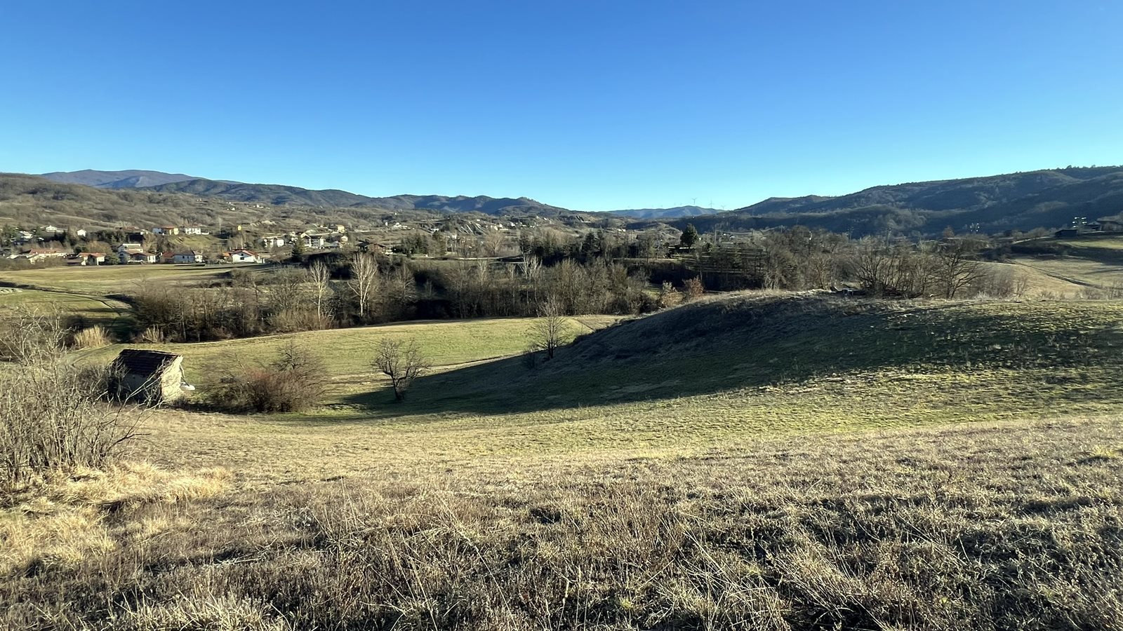 Foto annuncio 10