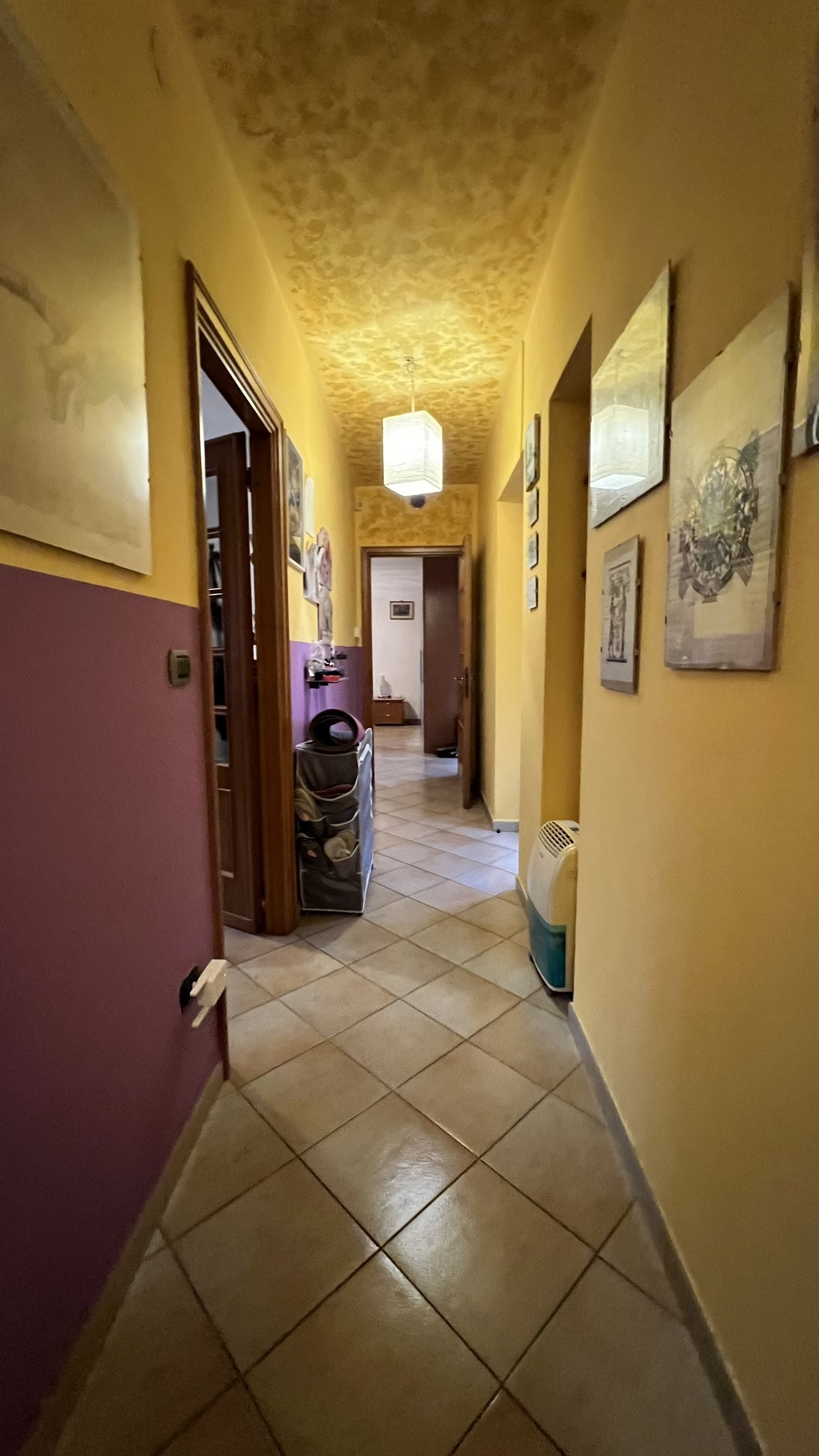 Foto annuncio 21