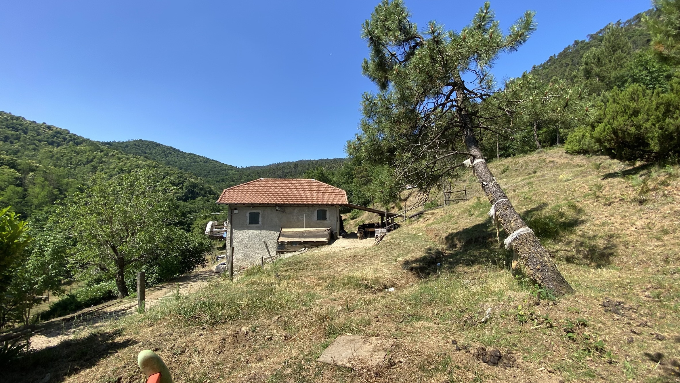 Foto annuncio 3