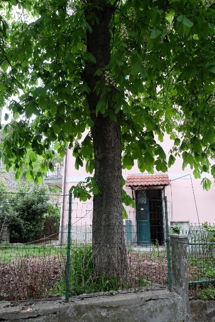 Foto annuncio 18