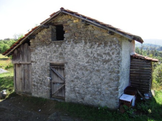 Foto annuncio 11