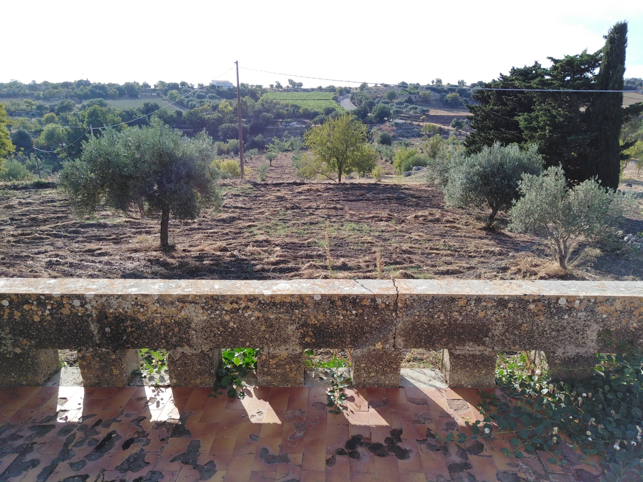 Immagine 5 di Villa in vendita  a Chiaramonte Gulfi