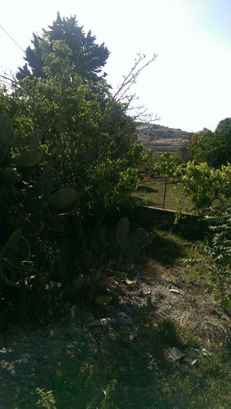 Foto annuncio 4