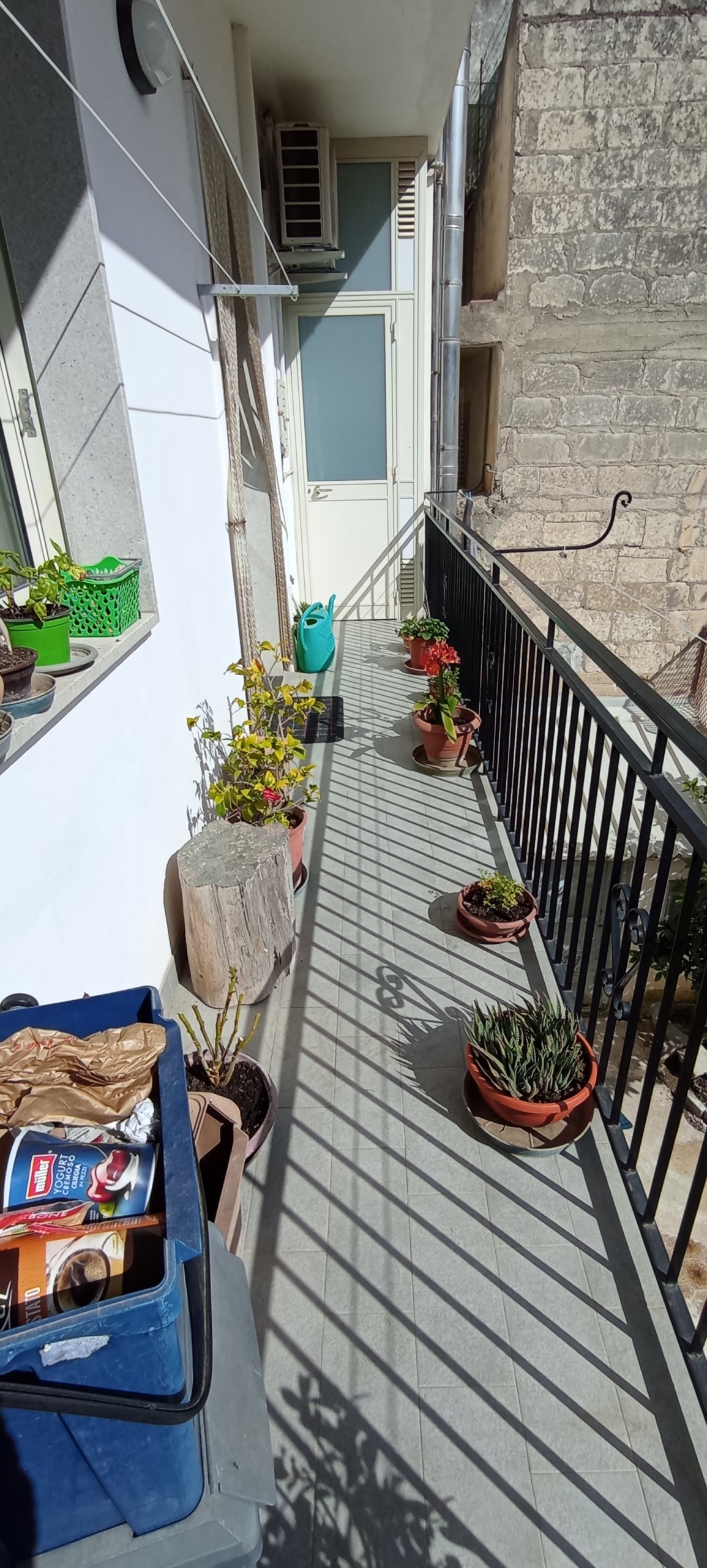 Foto annuncio 5