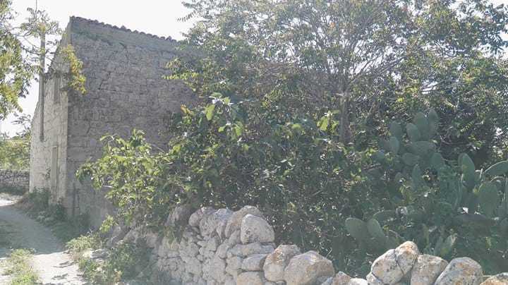 Foto annuncio 9