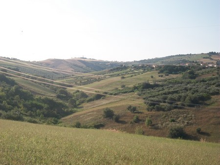 Foto annuncio 22