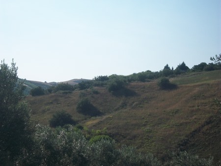 Foto annuncio 15