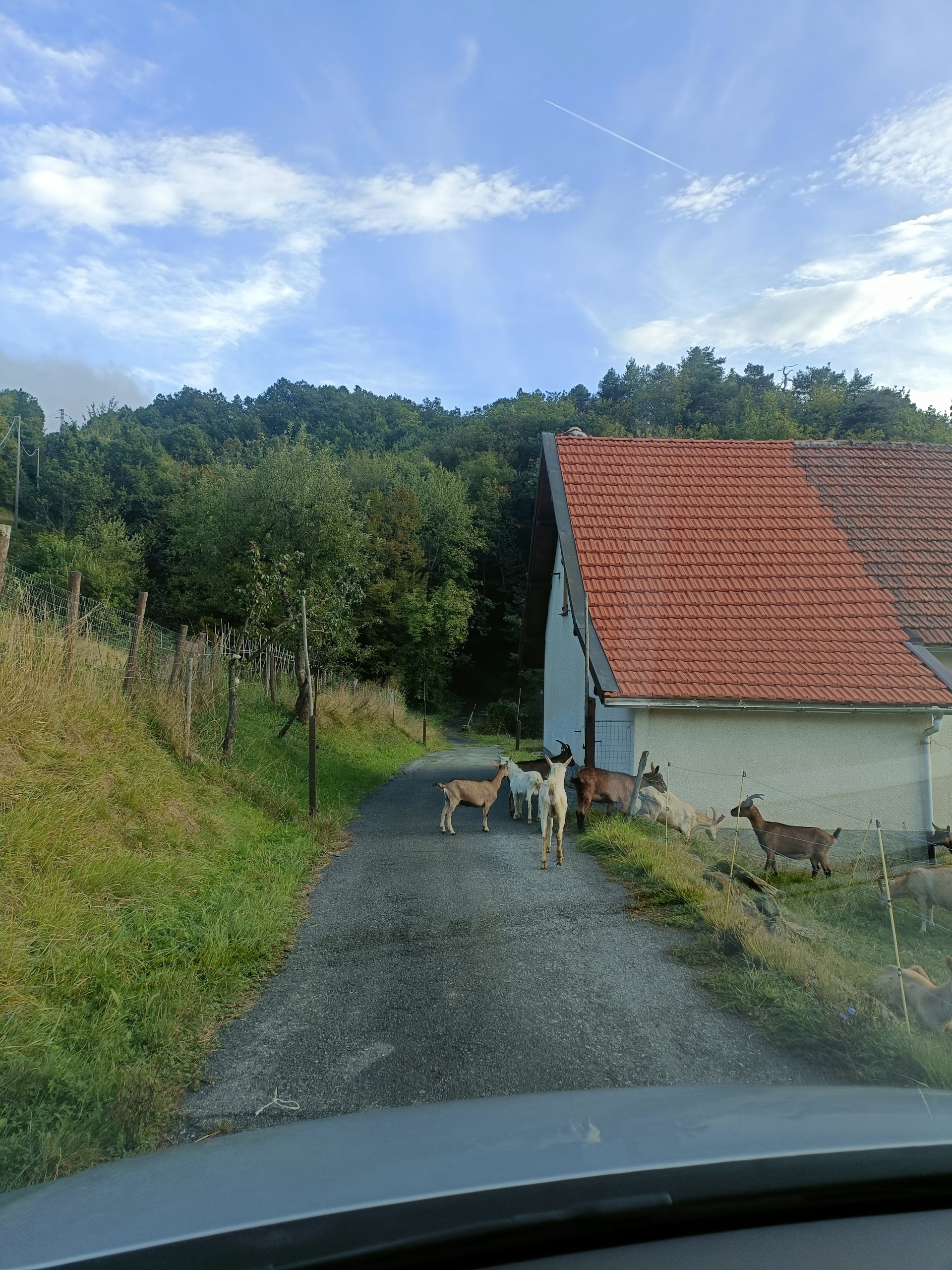 Immagine 3 di Rustico / casale in vendita  in Via patane 1 a Sassello